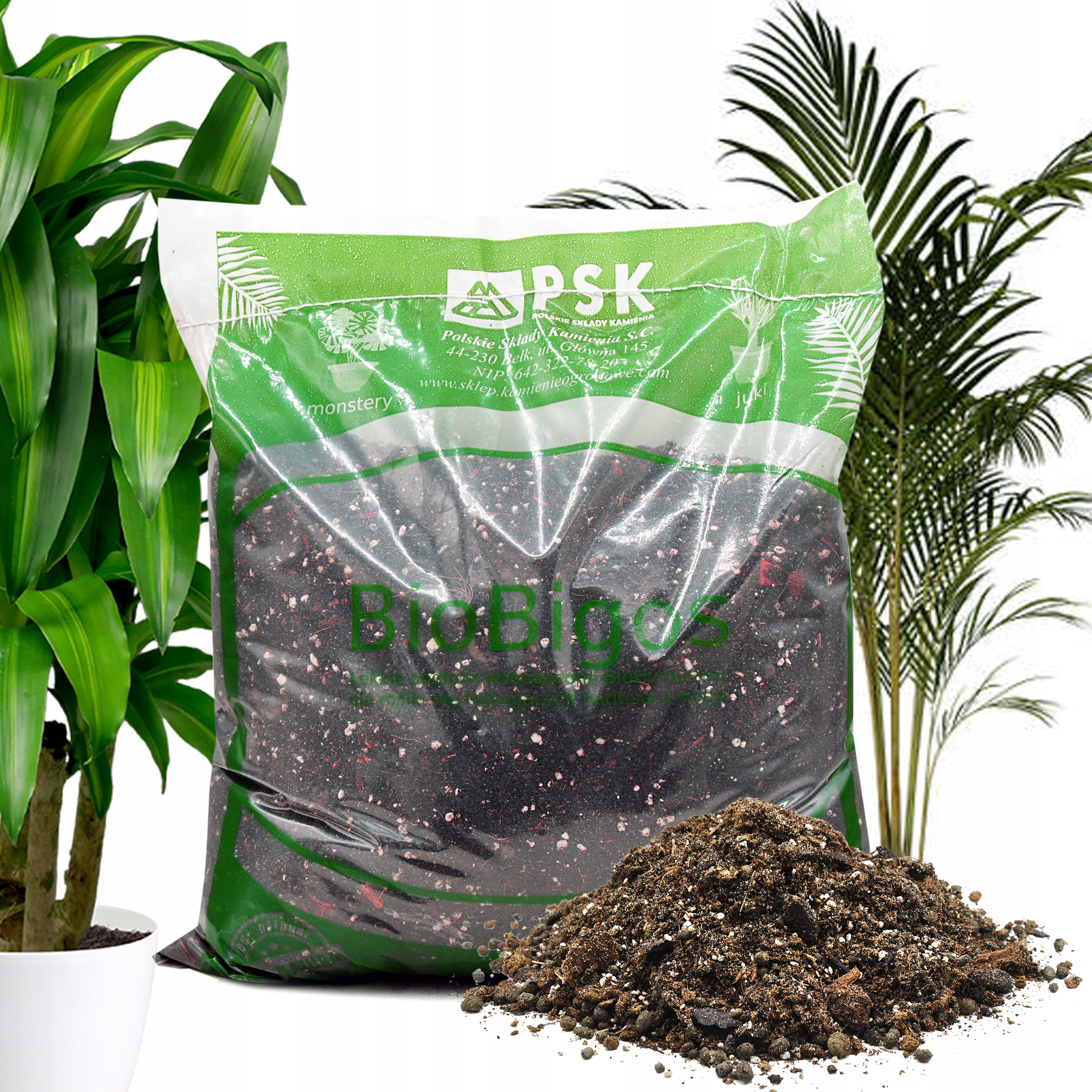 

Bigos Przepuszczalne podłoże Zamiokulkas Alokazja