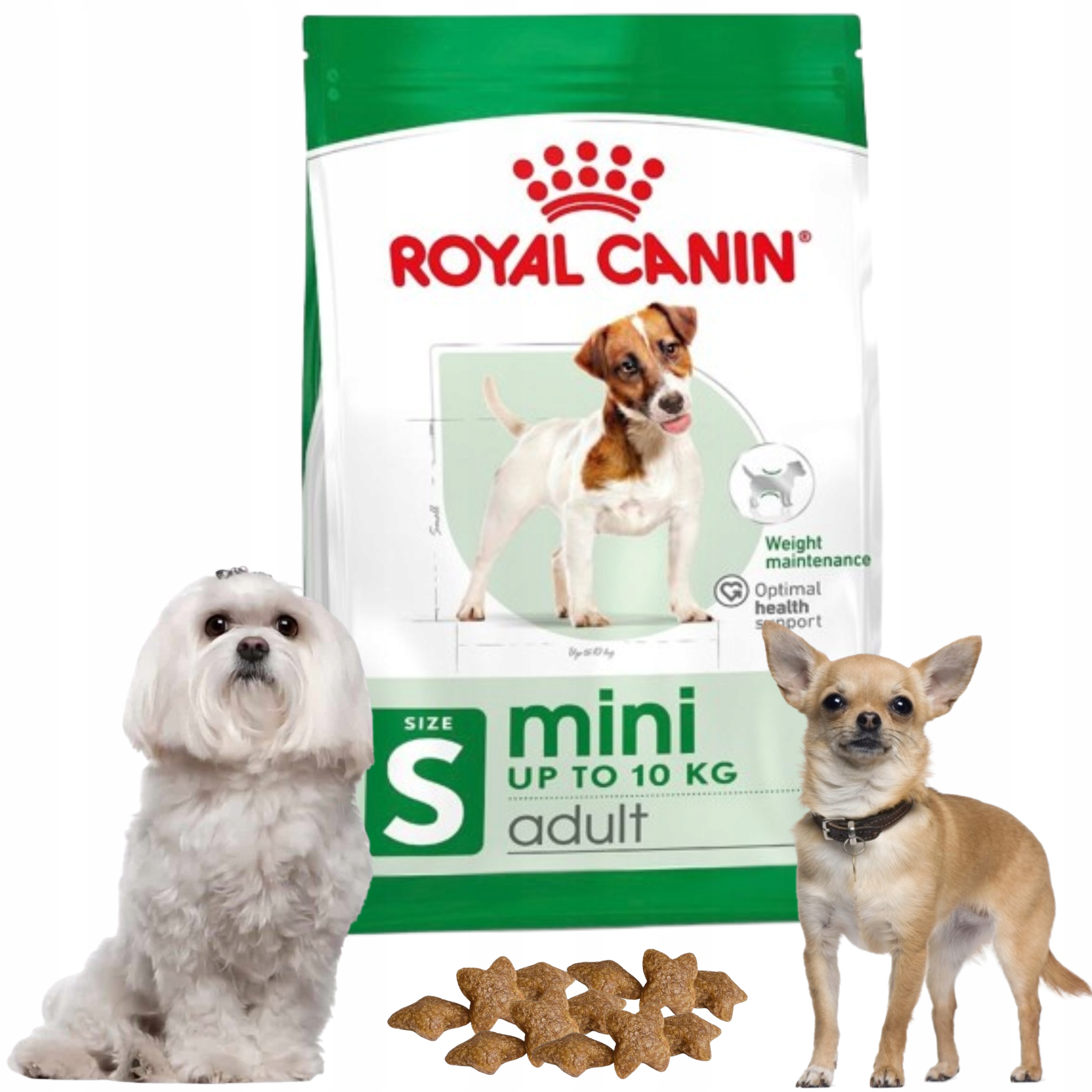 Ranking: Najlepsze karmy dla Chihuahua (wybredność i serce)