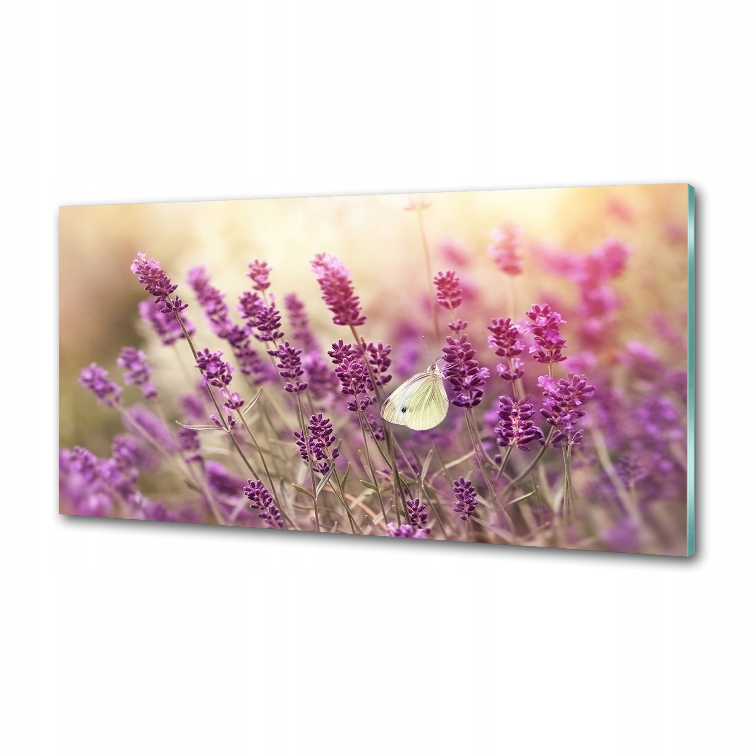 Sklenený panel do kuchyne Levanduľa 100x50 cm Lepidlo