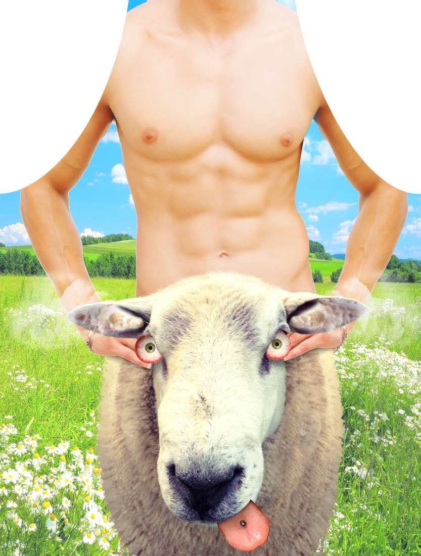 

Fartuch nr 03 (sheep)..