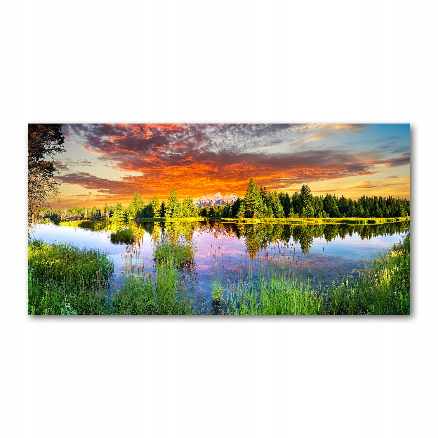 

Foto obraz akryl zdjęcie Rzeka w lesie 120X60 cm