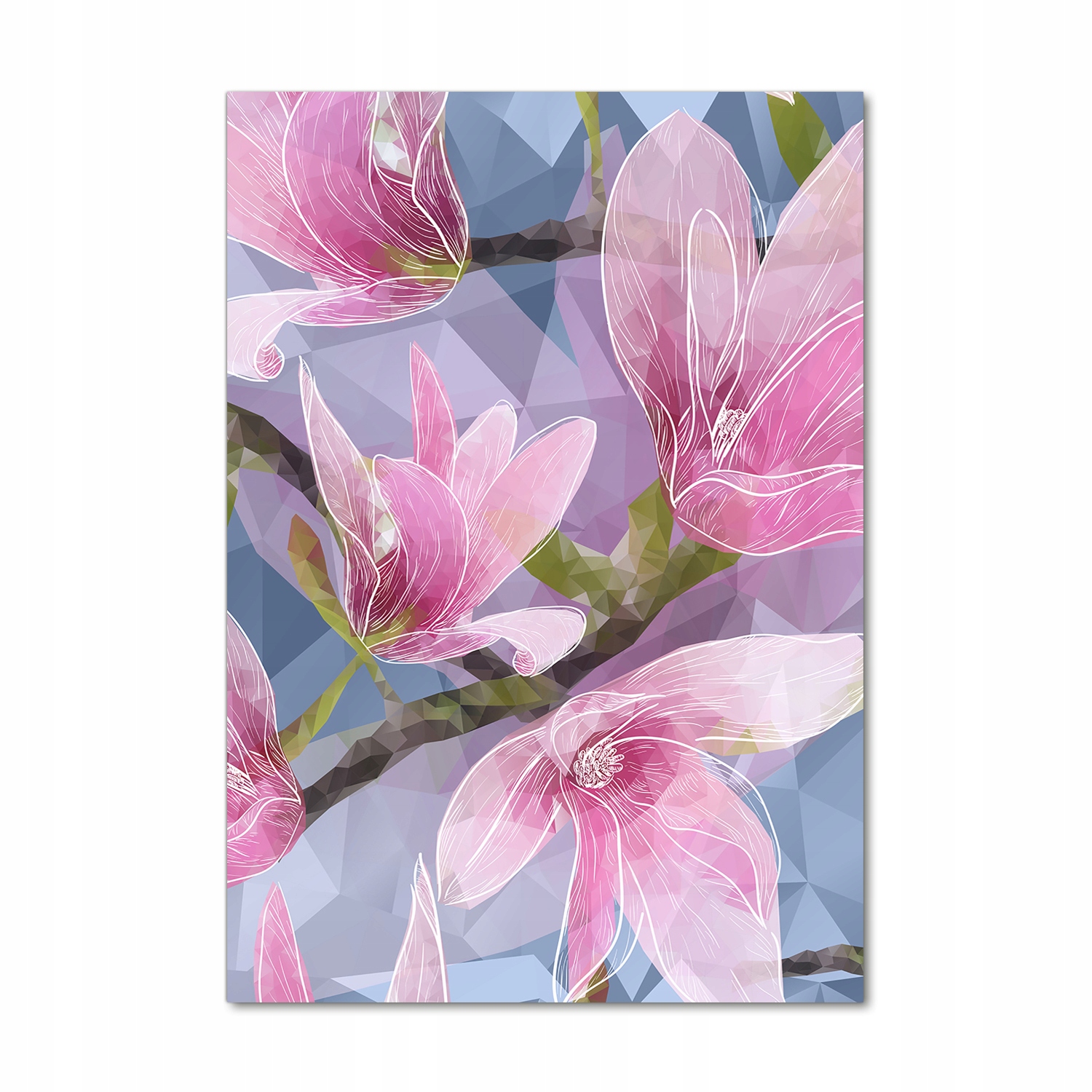 

Foto obraz akrylowy na ścianę Magnolia 70x100 cm