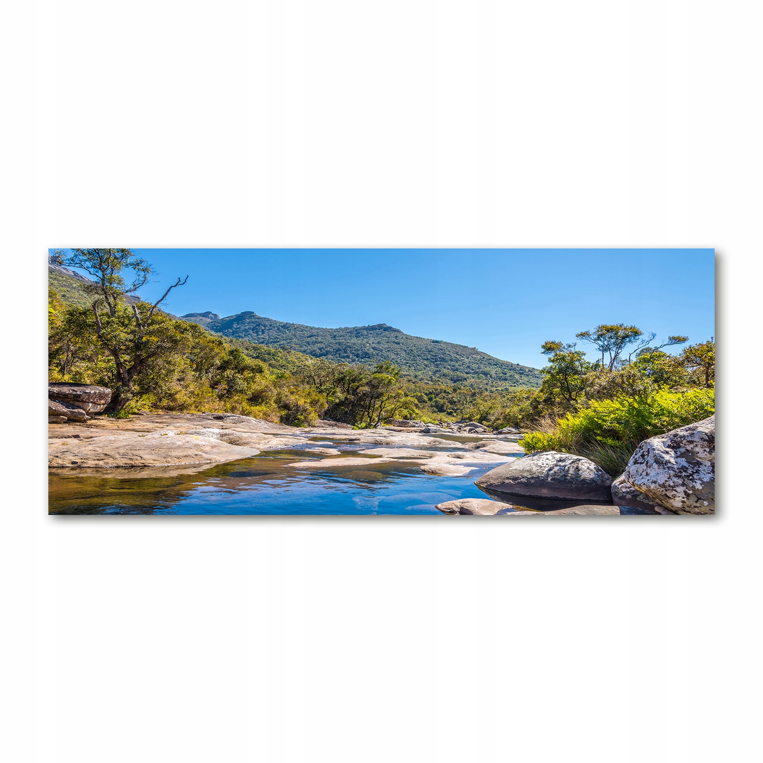 

Foto obraz akryl zdjęcie Rzeka w lesie 125x50 cm