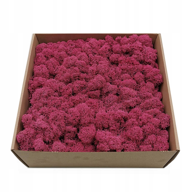 

250g netto Mech Chrobotek reniferowy Oczyszczony