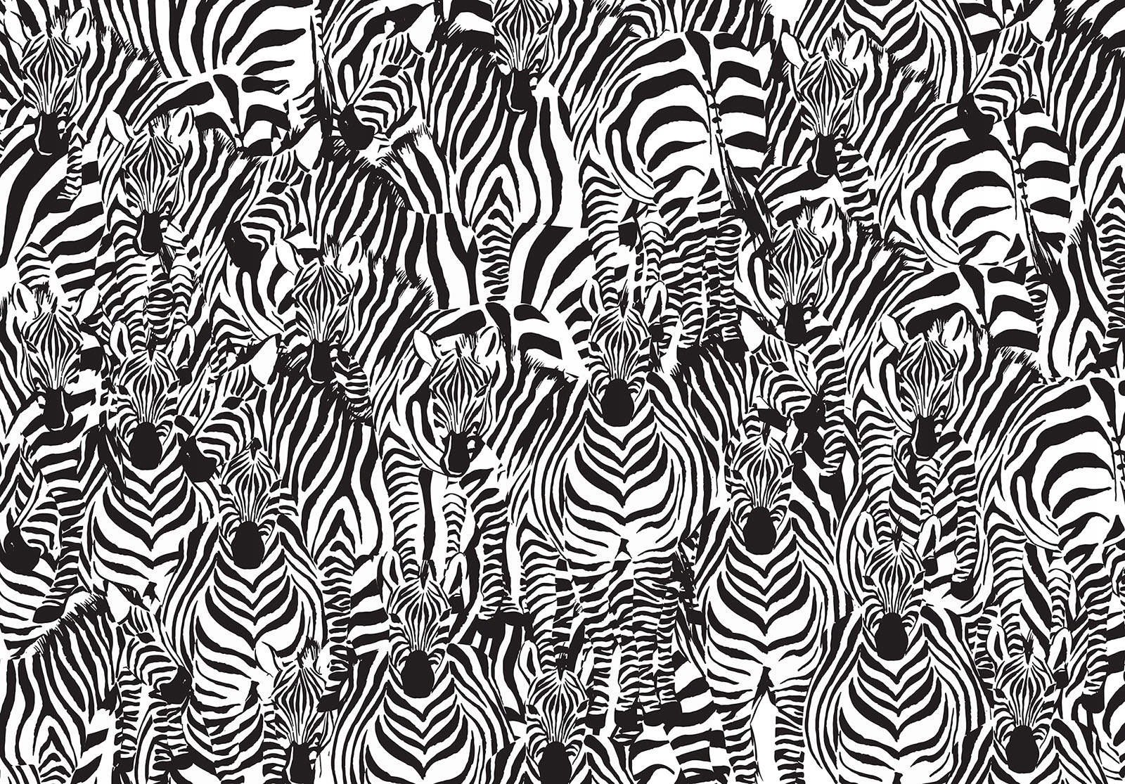 Fototapeta flizelina Zebra Africký vzor černobílé pruhy 368x280 lepidlo