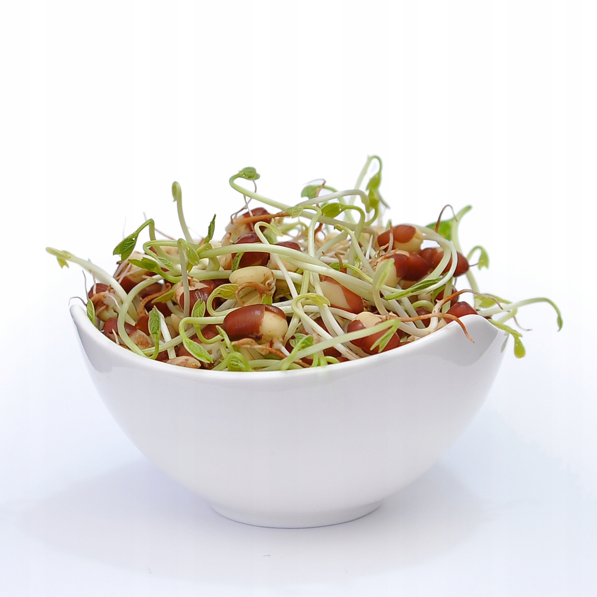 Adzuki bab csíráztatott magvak 50 g Márka Winoszarnia