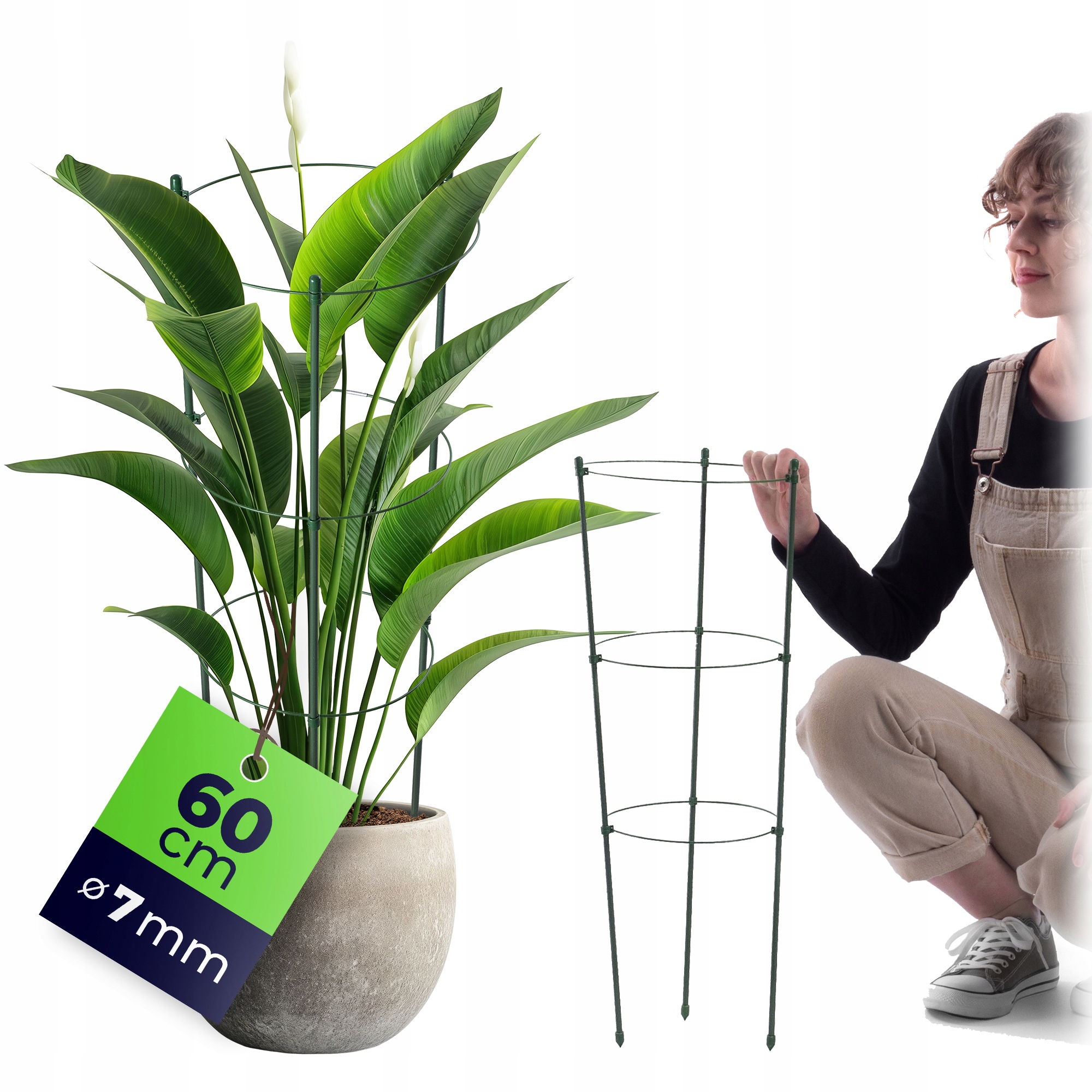 PODPORA PIERŚCIENIOWA DO ROŚLIN KWIATÓW 60 cm METALOWA PODPÓRKA OBRĘCZE