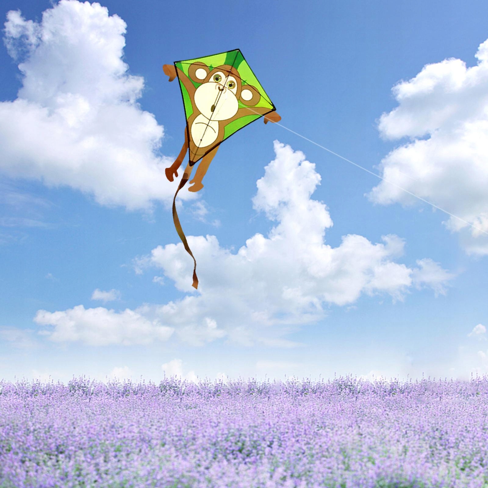 Latawce Vivid Phoenix Kite z pojedynczą linką Powierzchnia 0 m²