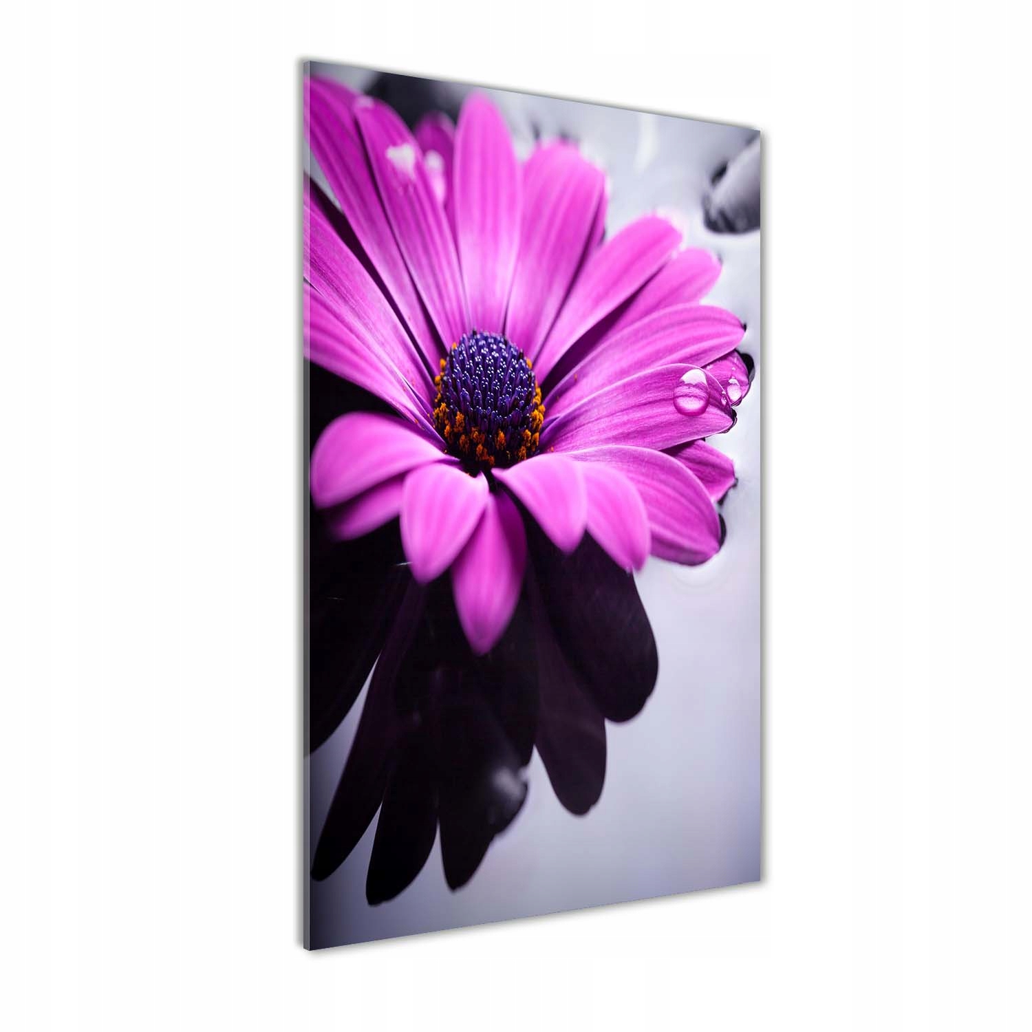 

Foto obraz akryl do salonu Różowa gerbera 70x140cm