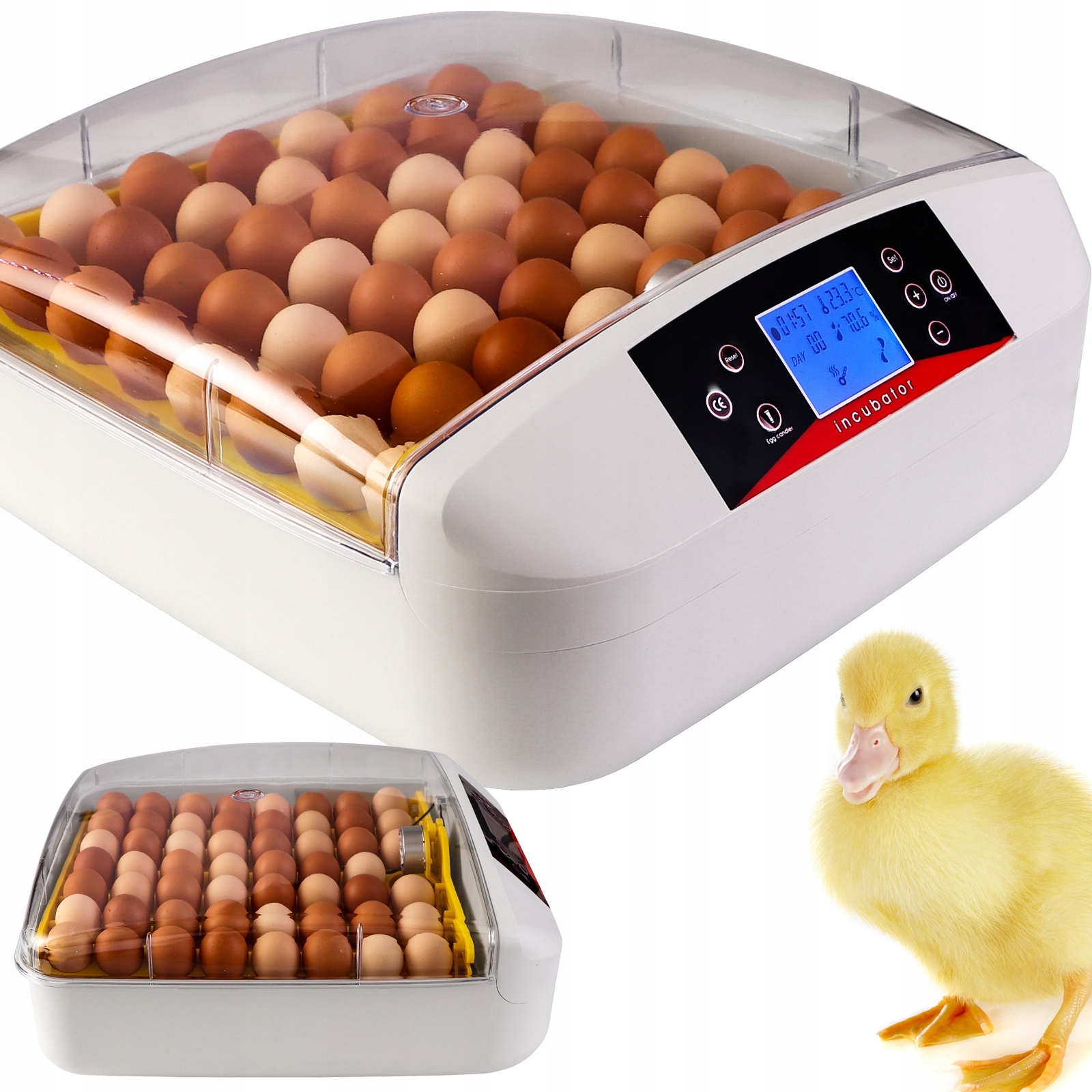 WYLĘGARNIA JAJ AUTOMATYCZNA OBRACANIE TERMOSTAT