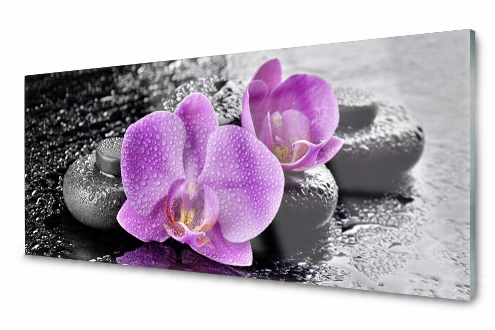 

Panel szklany do kuchni Storczyk Kwiaty Zen 125x50