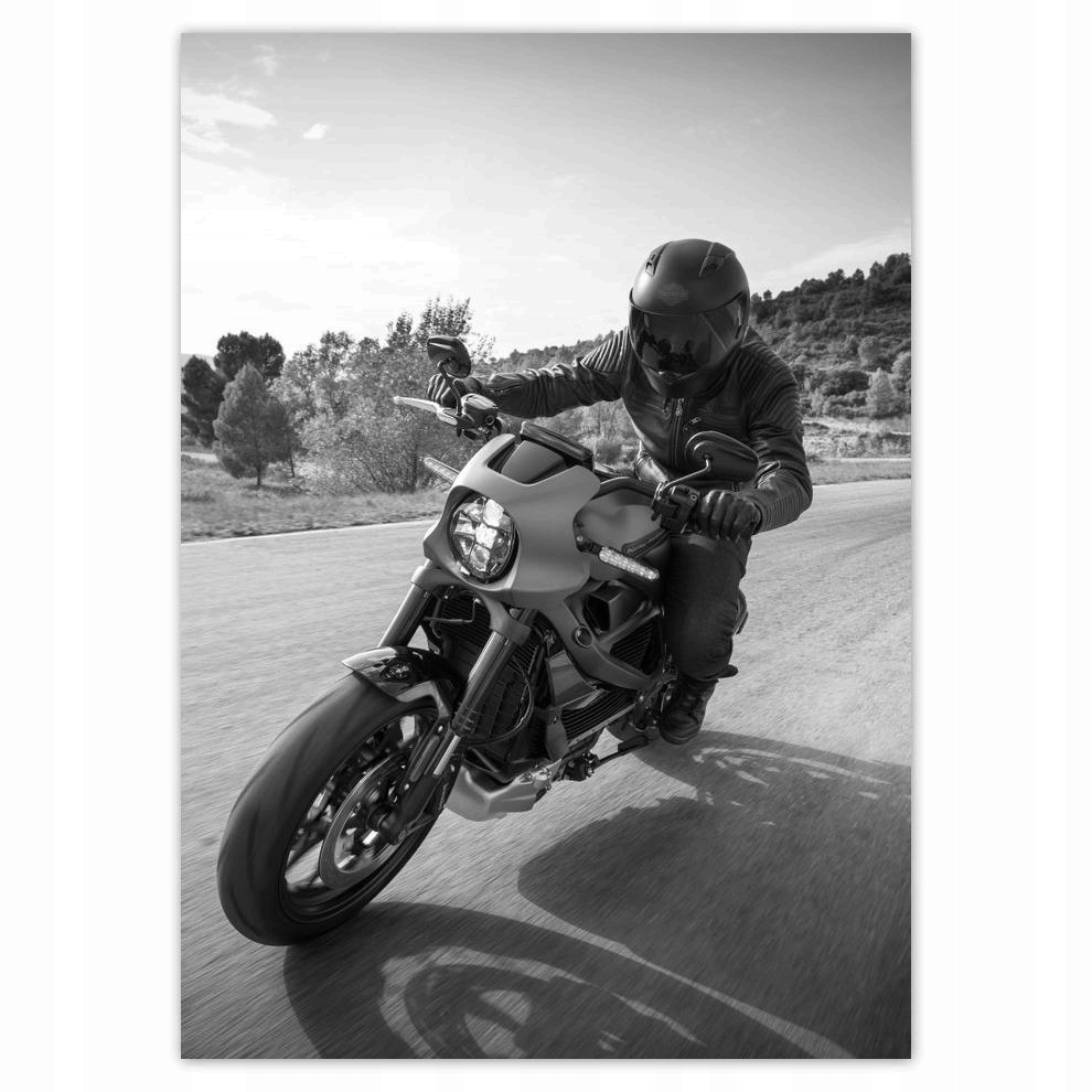 

Naklejki 50x70 Harley Davidson Motocykl