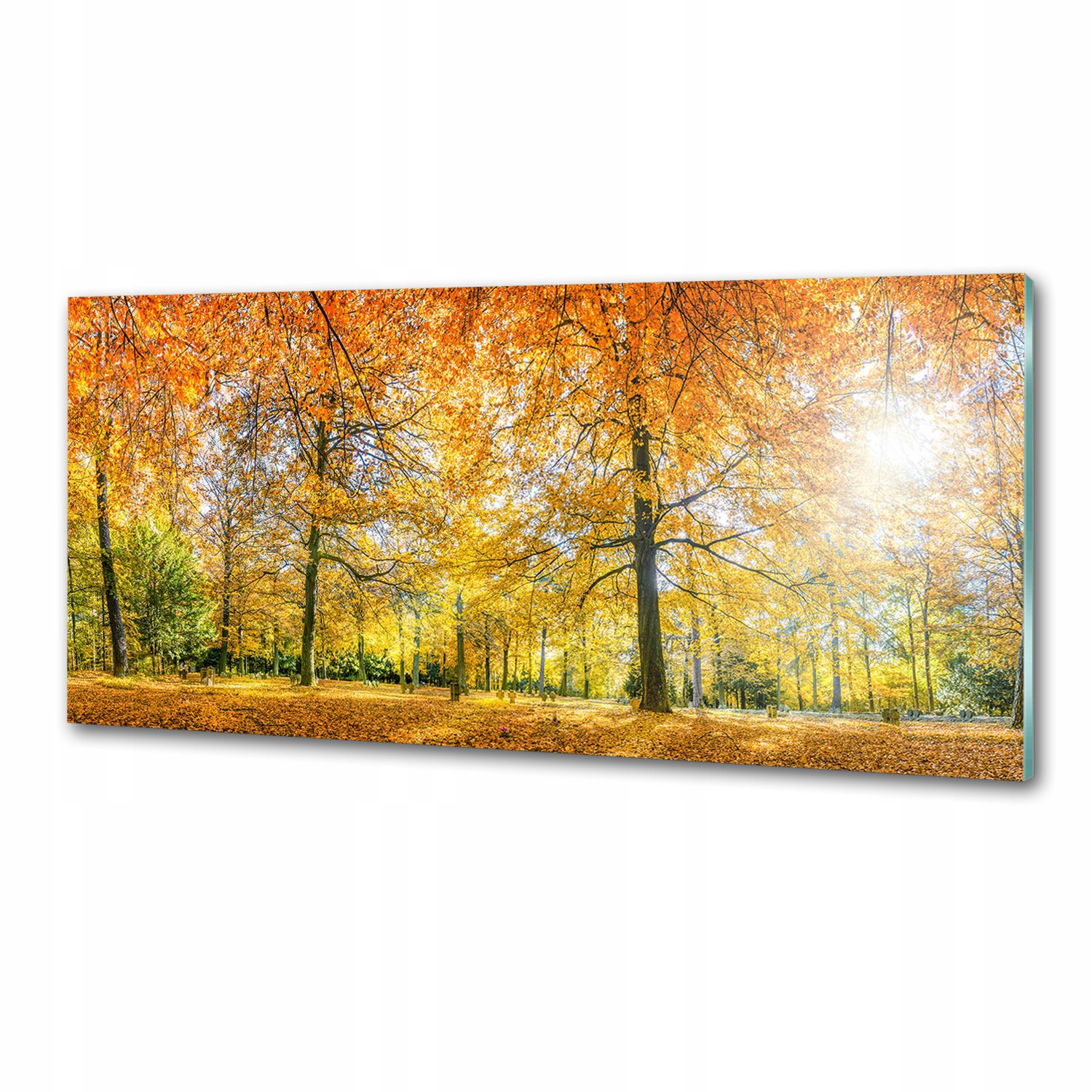 Panel dekor sklo Les na jeseň 125x50 cm Lepidlo