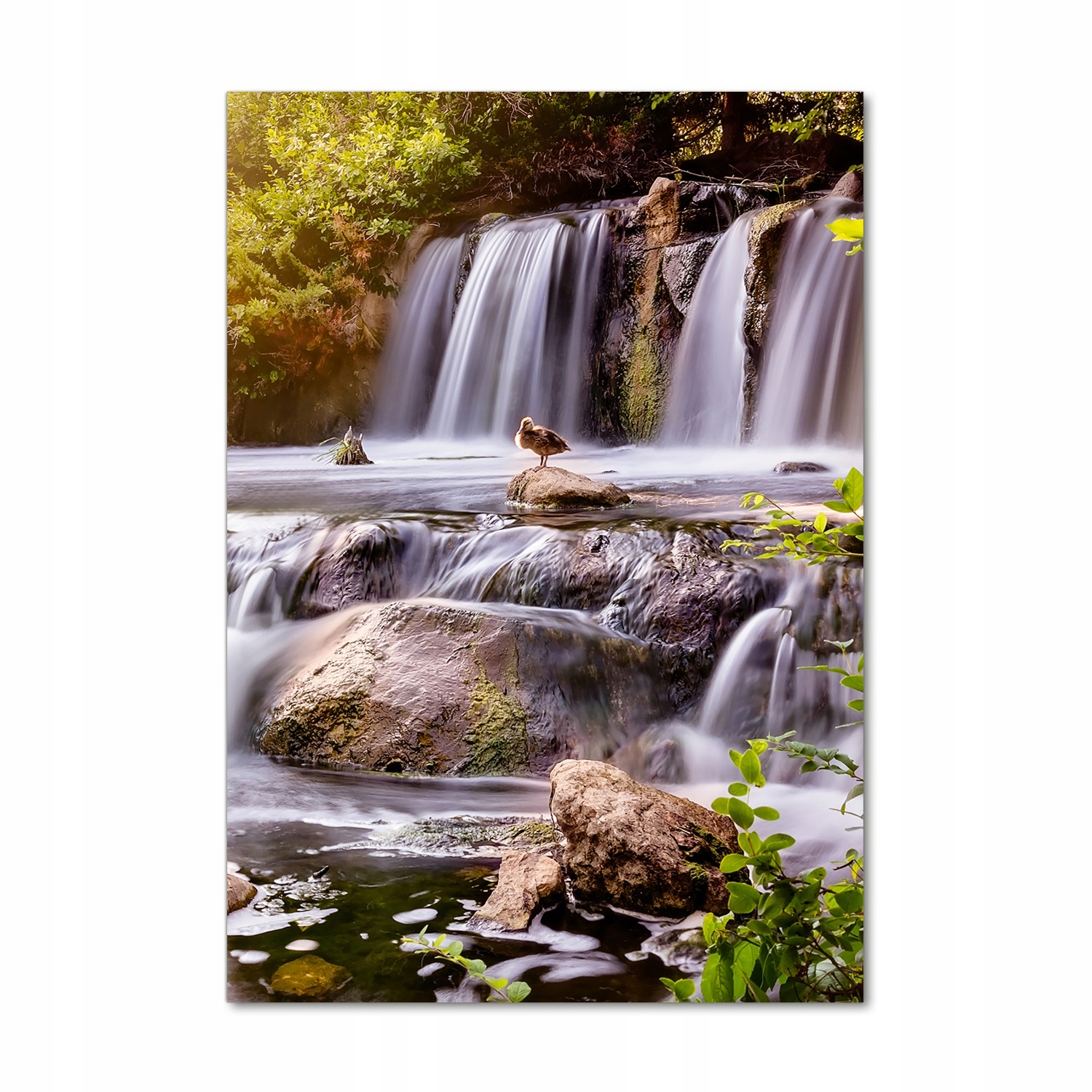 

Foto obraz akrylowy na ścianę Wodospad 70x100 cm