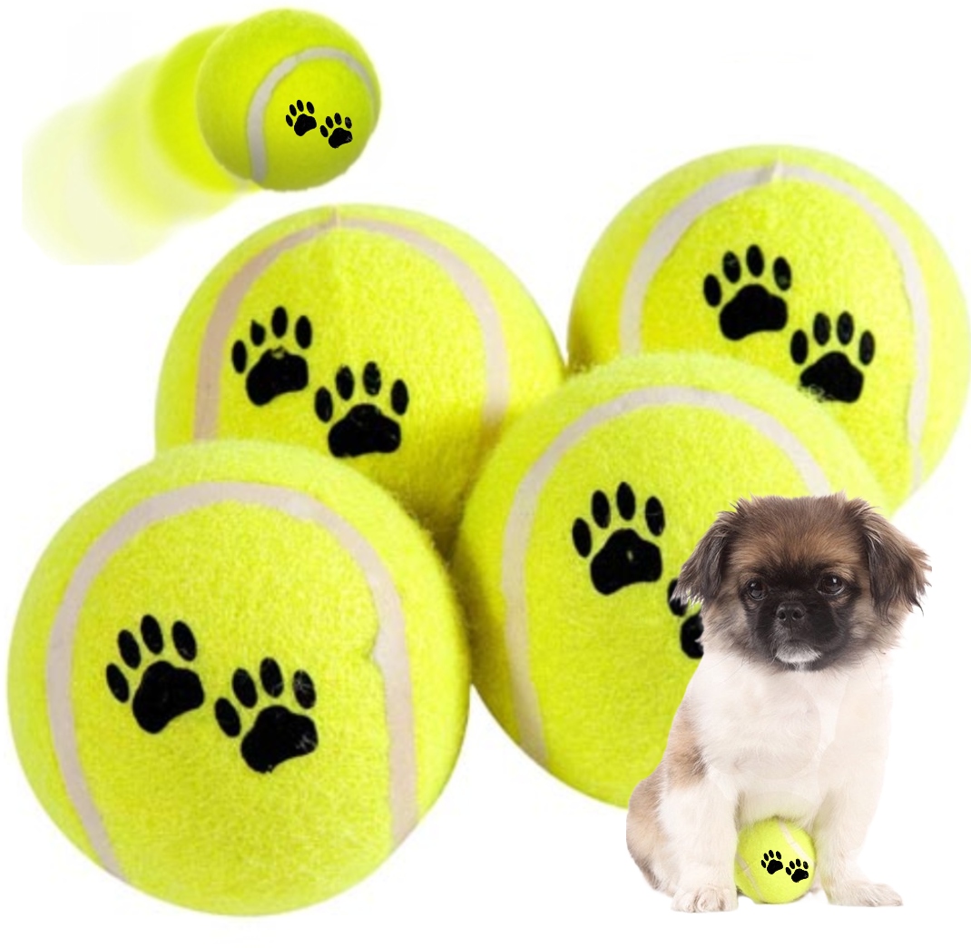 Míček hračka tvrdá pro psa Aport 6 cm na tenis, bezpečná