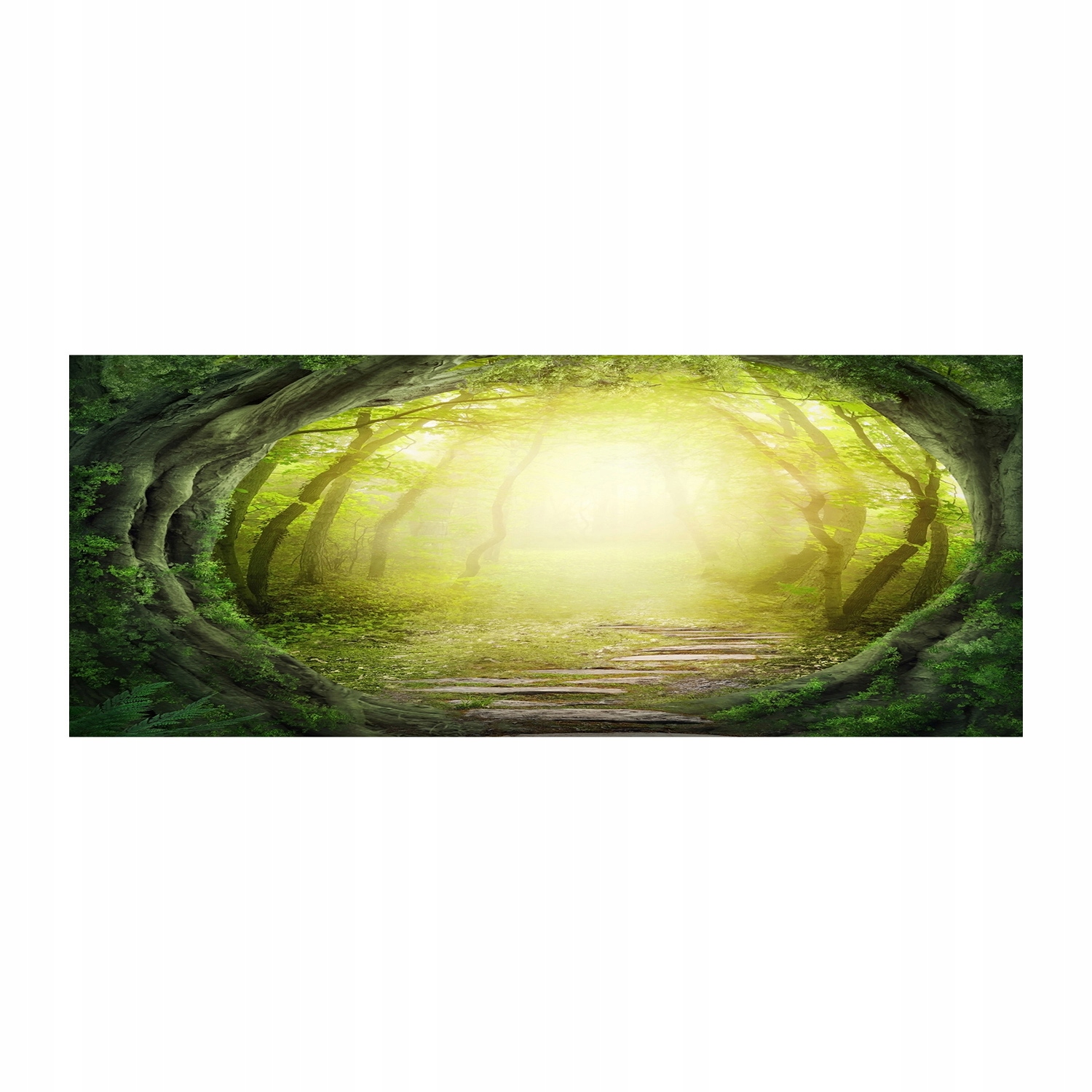 

Foto obraz akryl zdjęcie Tunel z drzew 125x50 cm