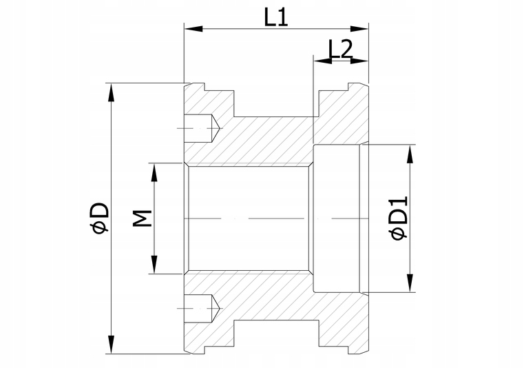 Tłok CHBx080 - Eurosnodi Producent części inny