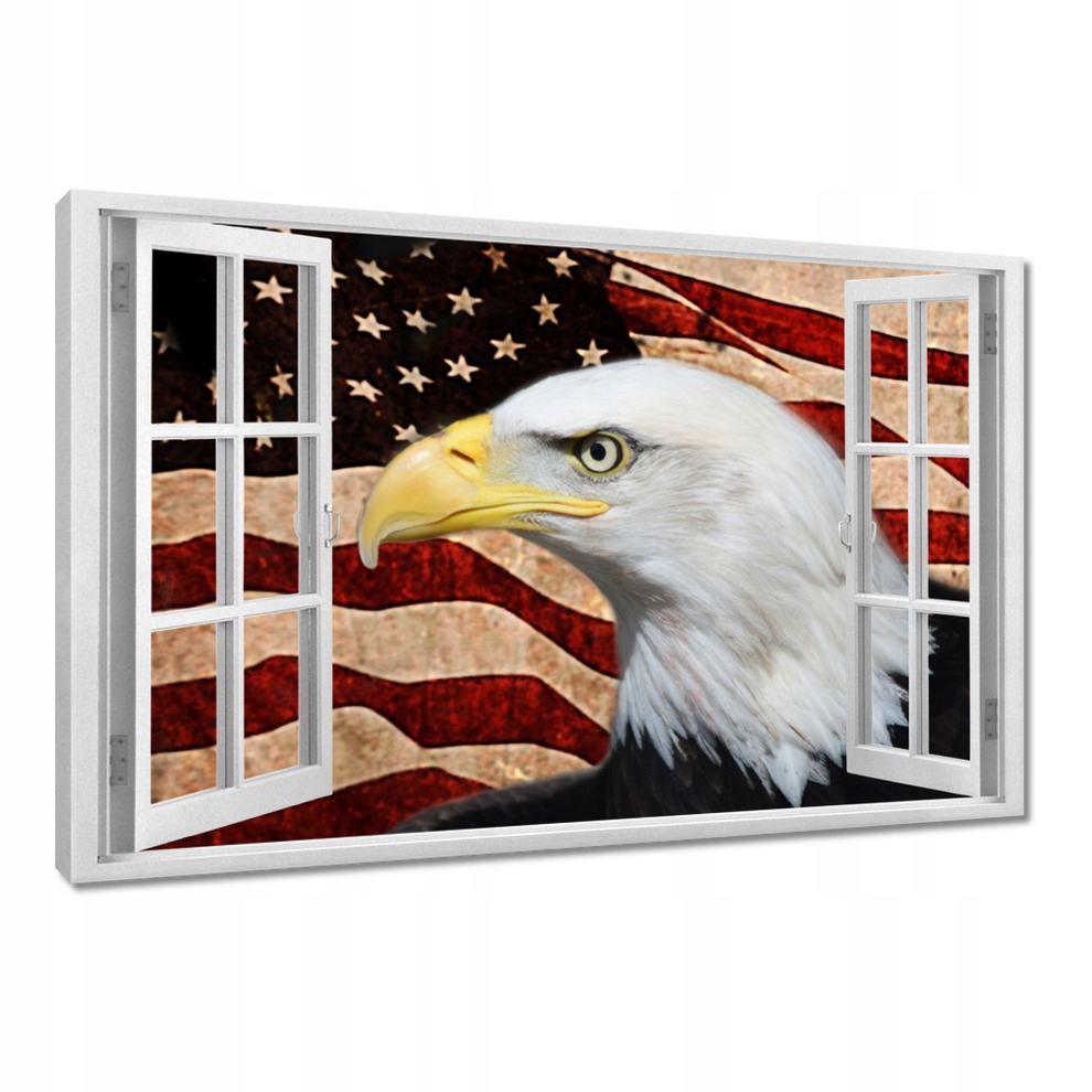 

Obrazy 120x80 Orzeł amerykański