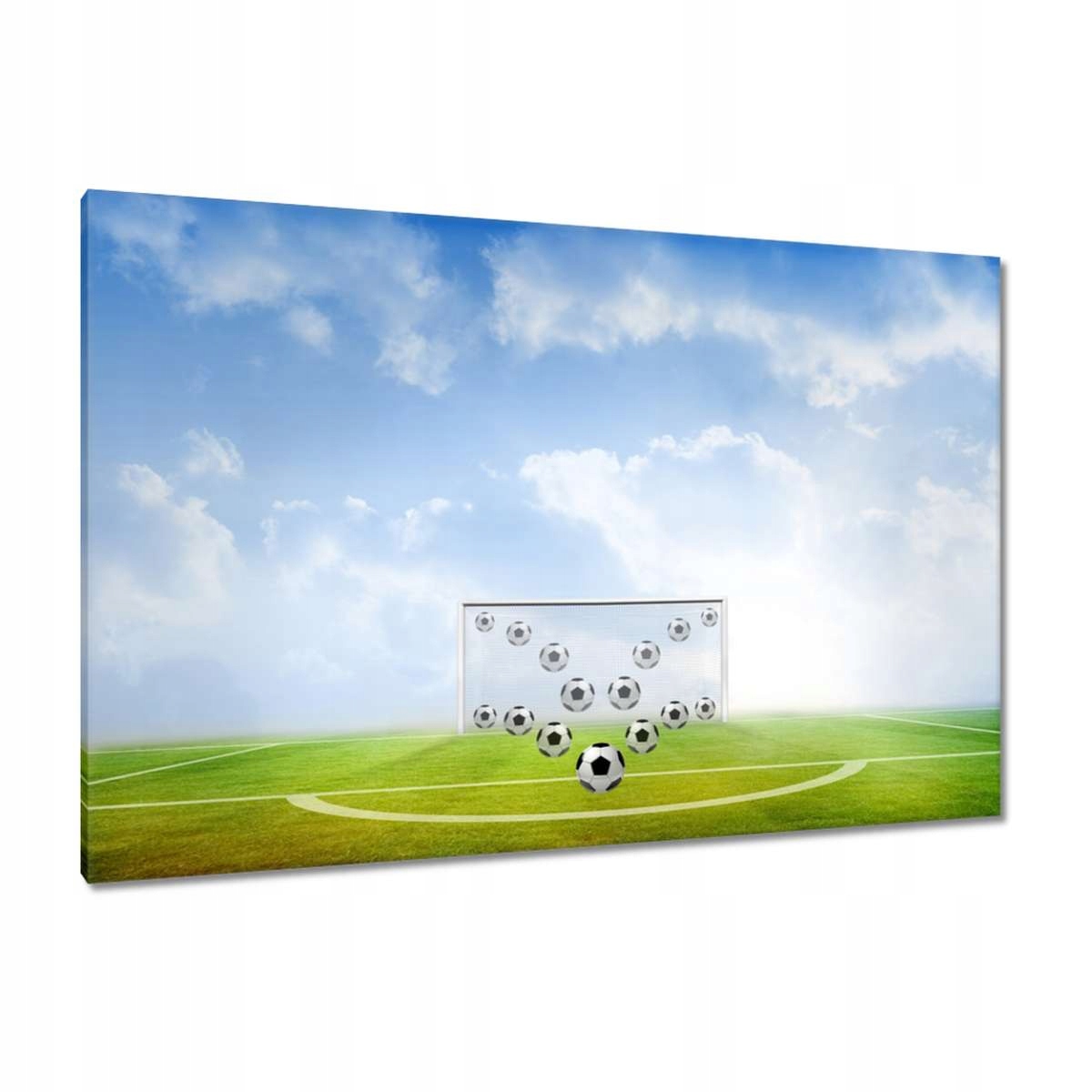 Obrazy 120x80 Branka Fotbal
