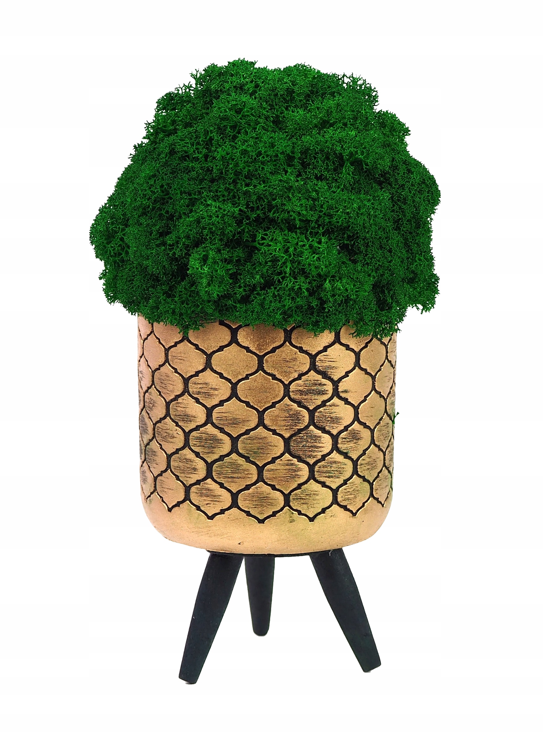 

Doniczka z mchem chrobotek Złota na Nóżkach