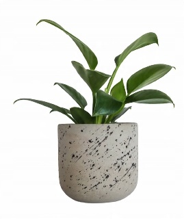 

Doniczka betonowa 12cm lots of dots
