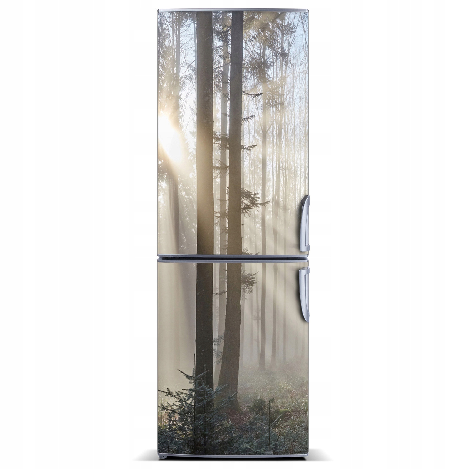 

Magnes fototapeta na lodówkę Mgła w lesie 60x180