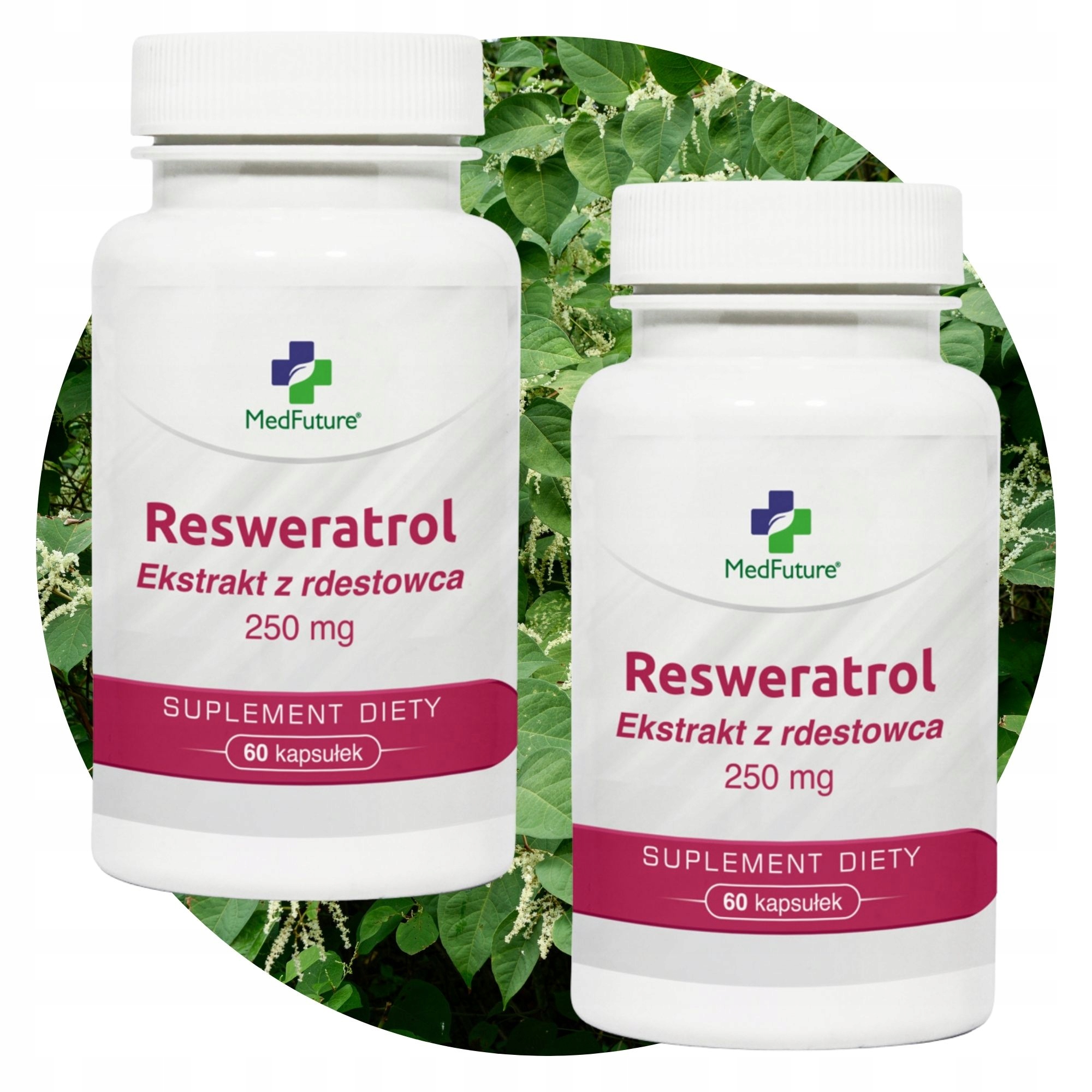 Resweratrol ekstrakt z rdestowca 250 mg Naturalny antyoksydant Zestaw