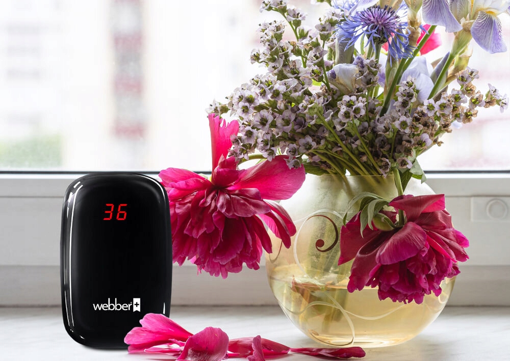 Czujnik jakości powietrza WEBBER SP75 Czarny Model SP75