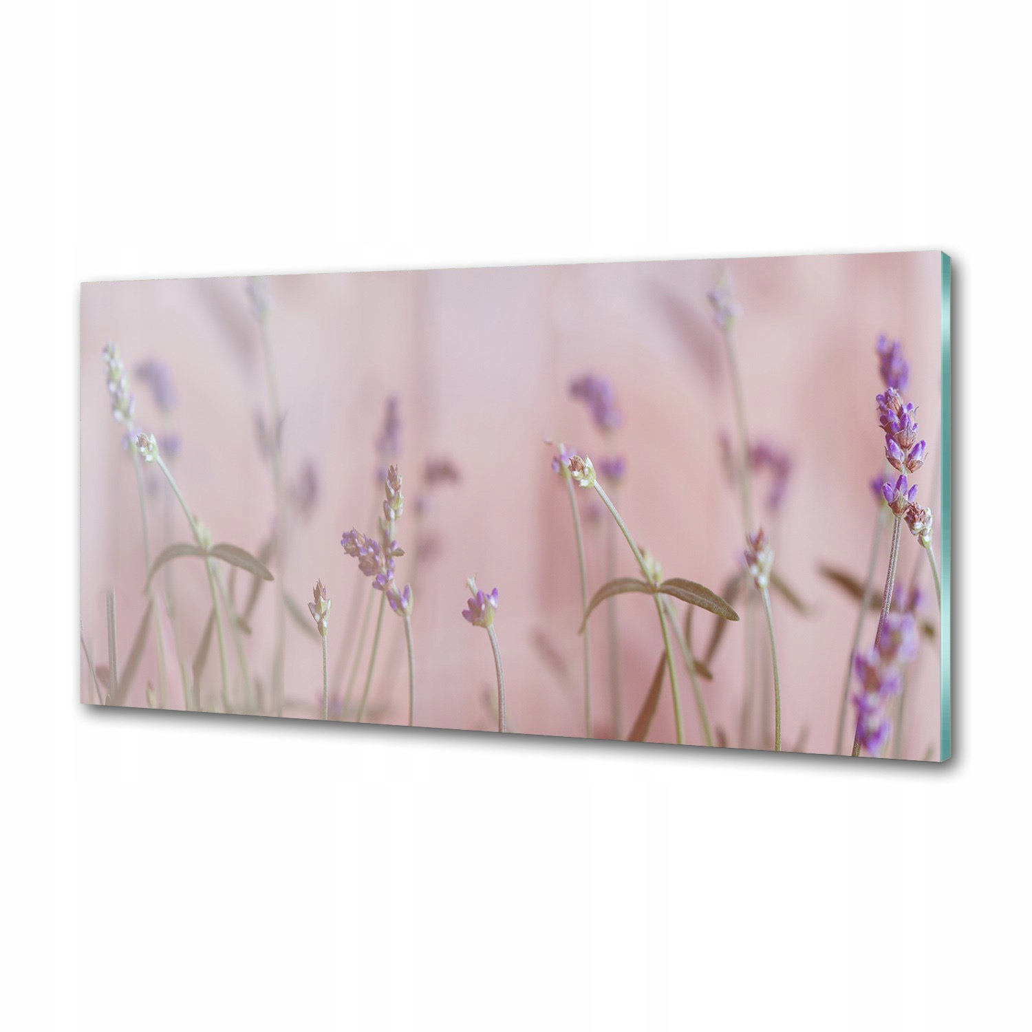 Sklenený panel do kuchyne Levanduľa 120 x 60 cm Lepidlo