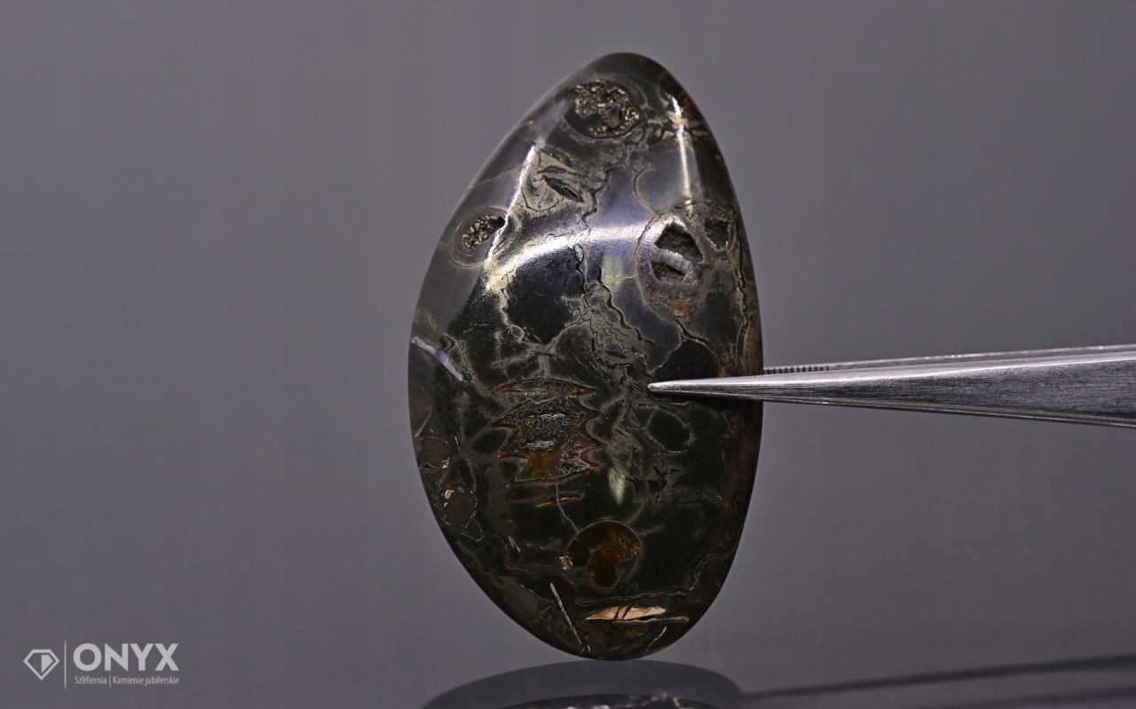 Amonit spiritizovaný nepravidelný 51x29 mm