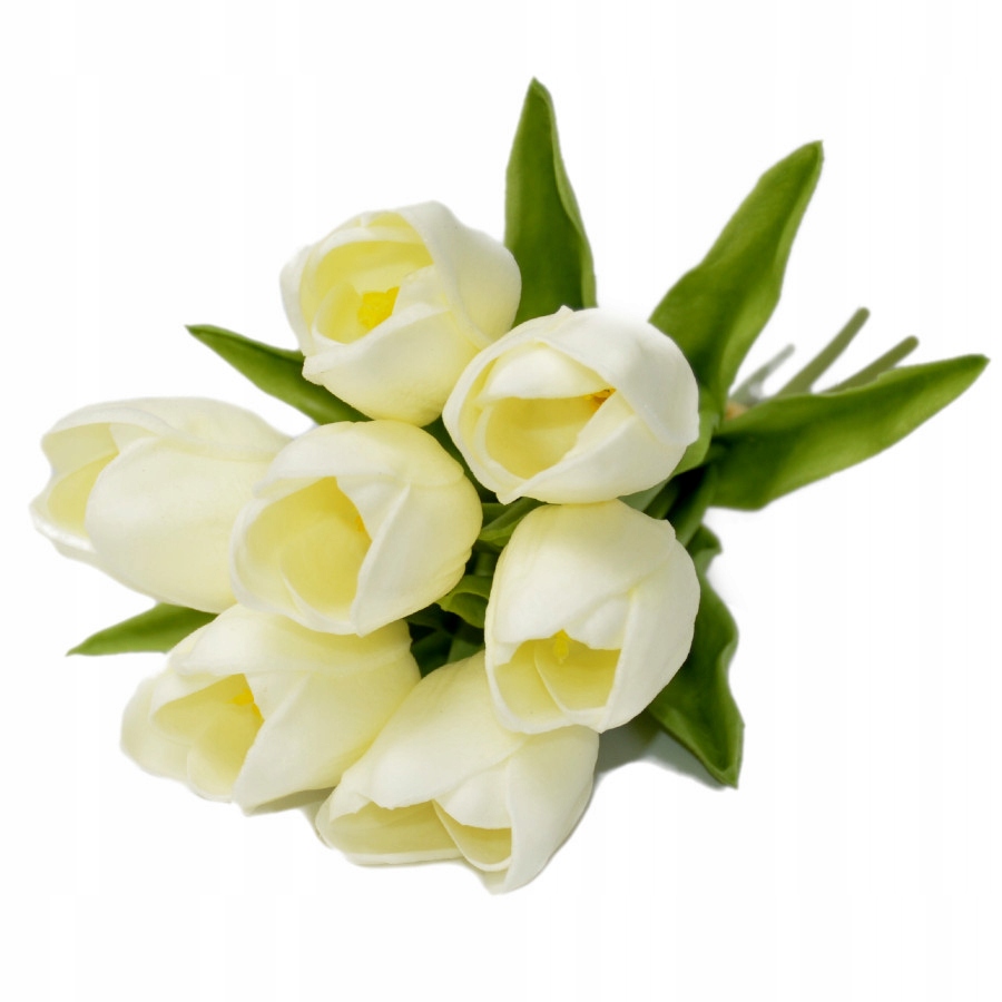 

Tulipany Bukiet Tulipanów Gumowane Gumowe Jak Żywe