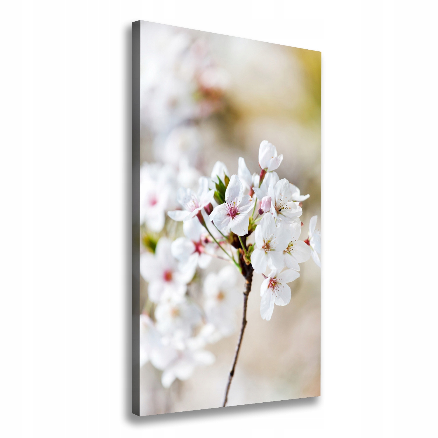 

Foto obraz canvas do salonu Kwiaty wiśni 60x120