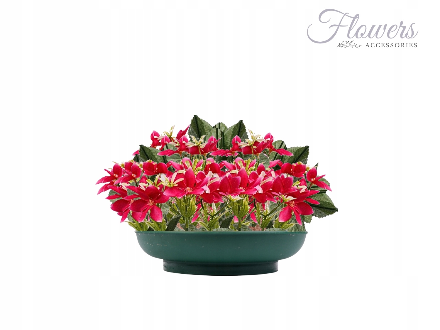 GĄBKA SUCHA CIOTOLA MINI IKEBANA PODSTAWKA NA STÓŁ Nazwa VICTORIA CIOTOLA MINI