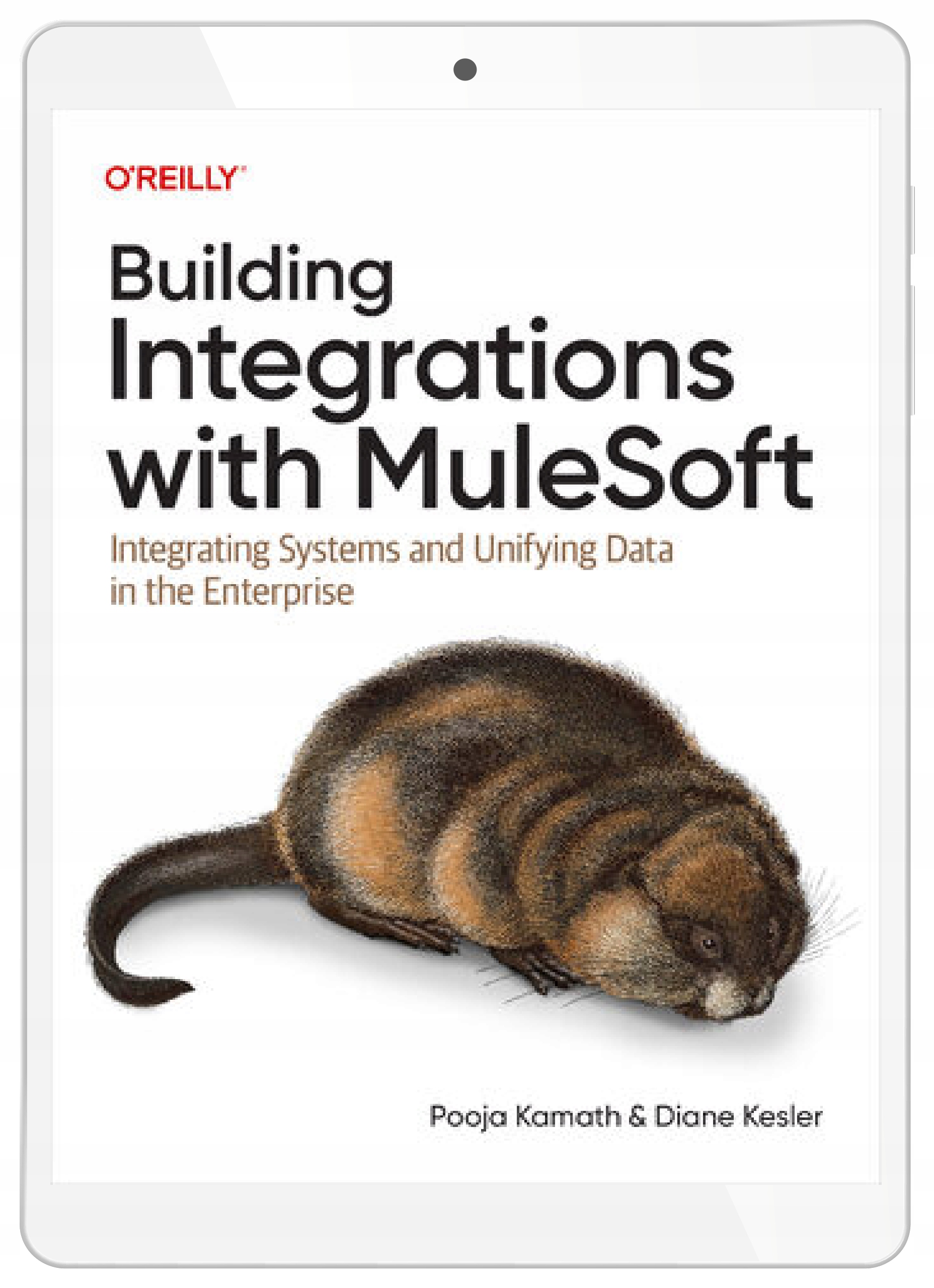 Building Integrations with MuleSoft