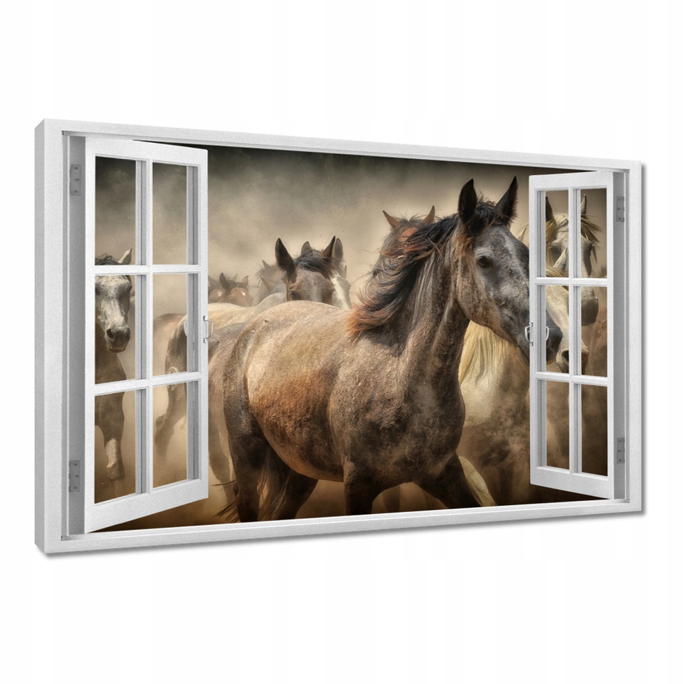 

Obrazy 60x40 Koń Konie Jeździectwo