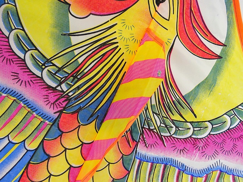 Latawiec ptak z ogonem 135cm x 70cm Marka Adar