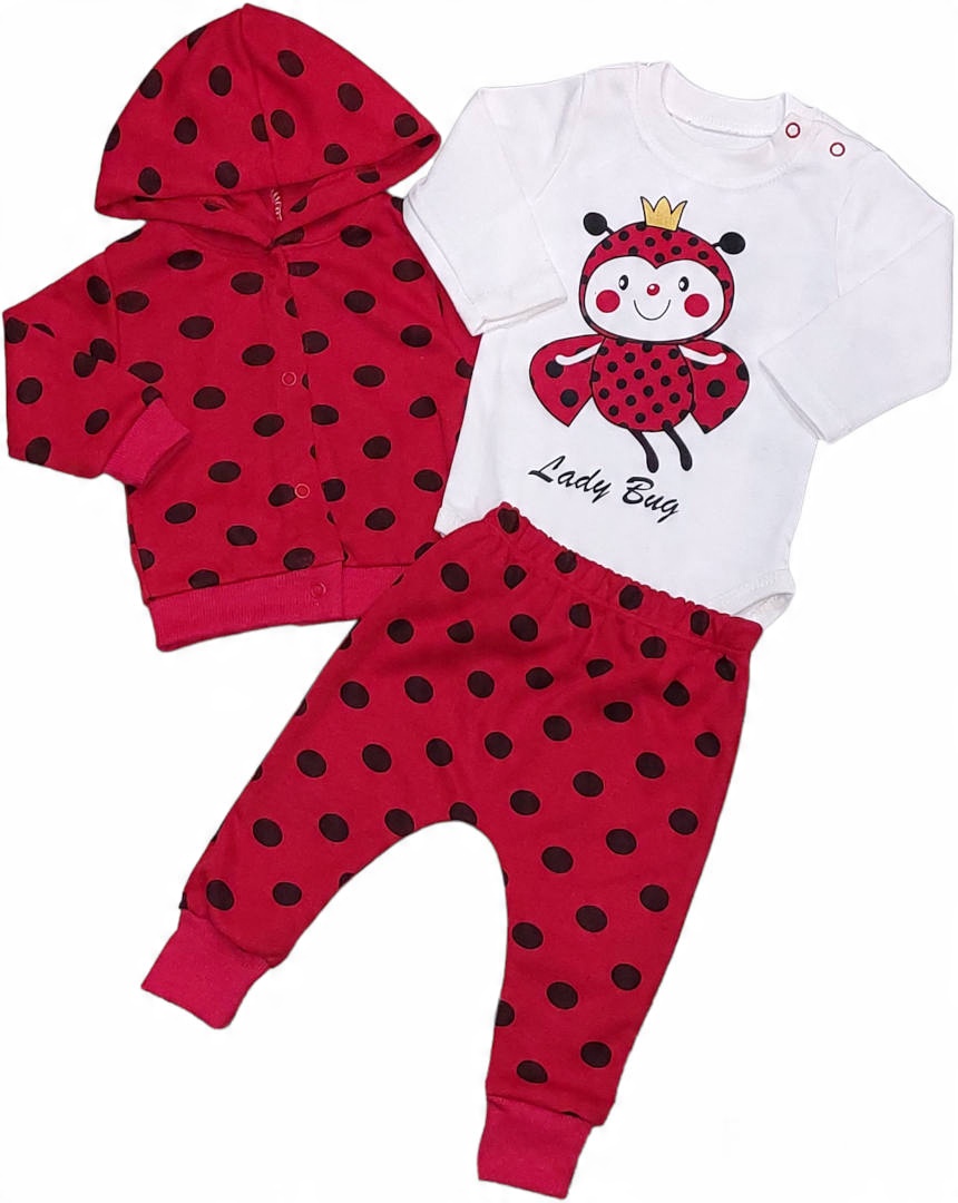 

Komplet niemowlęcy 3.el Body bluza spodnie r.68