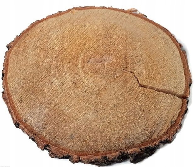 Akce velké dřevěné pláty bříza 45-55 cm Eko kroužky