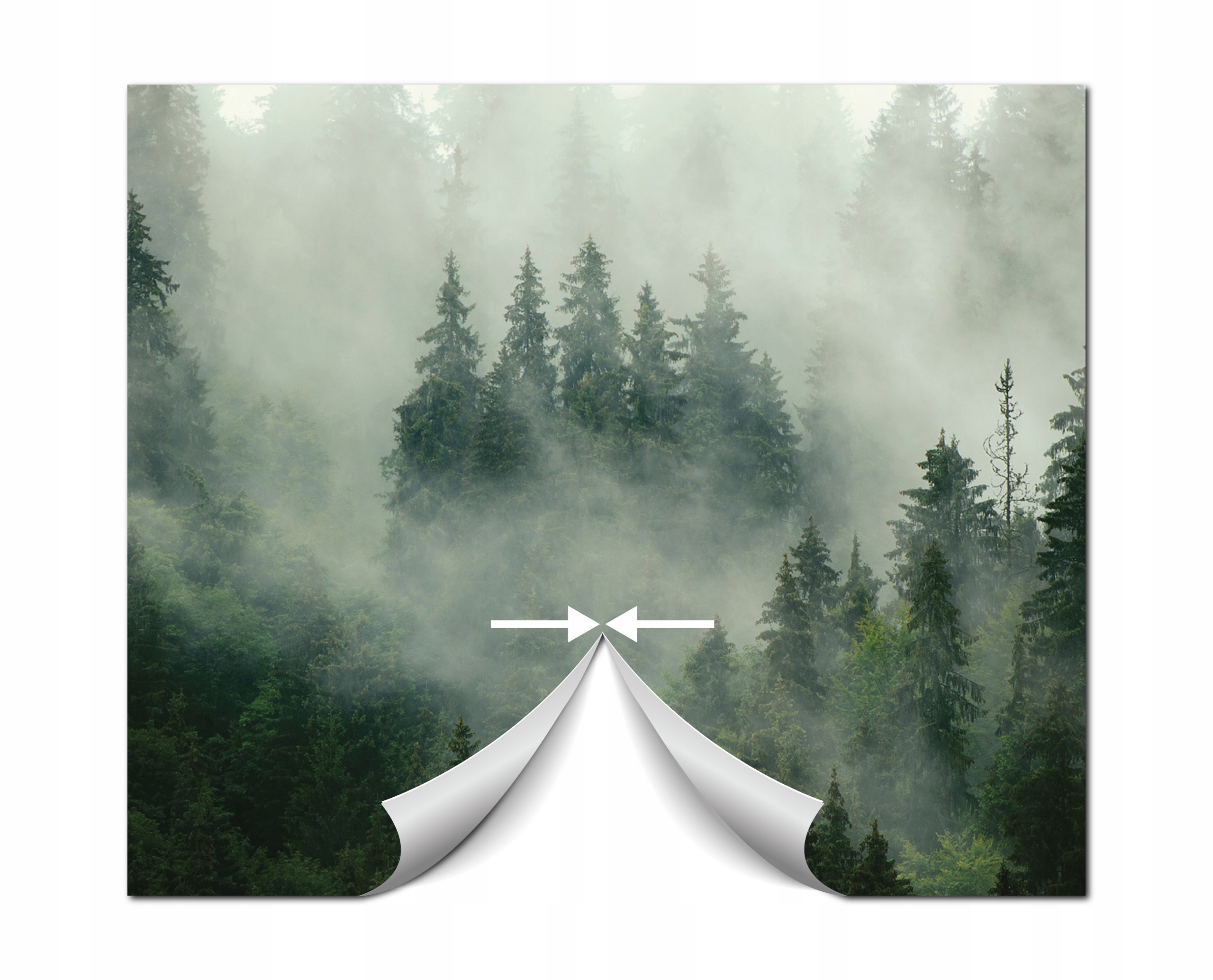 FOTOTAPETA ZACZAROWANY LAS DRZEWA 3D NATURA DRZEWA MAGICZNA ALEJKA 368x254 Rodzaj flizelinowa