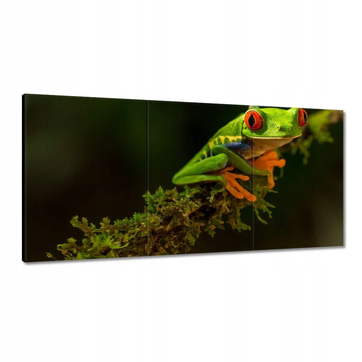 Obrazy 120x60 Zvířata Zvířátka