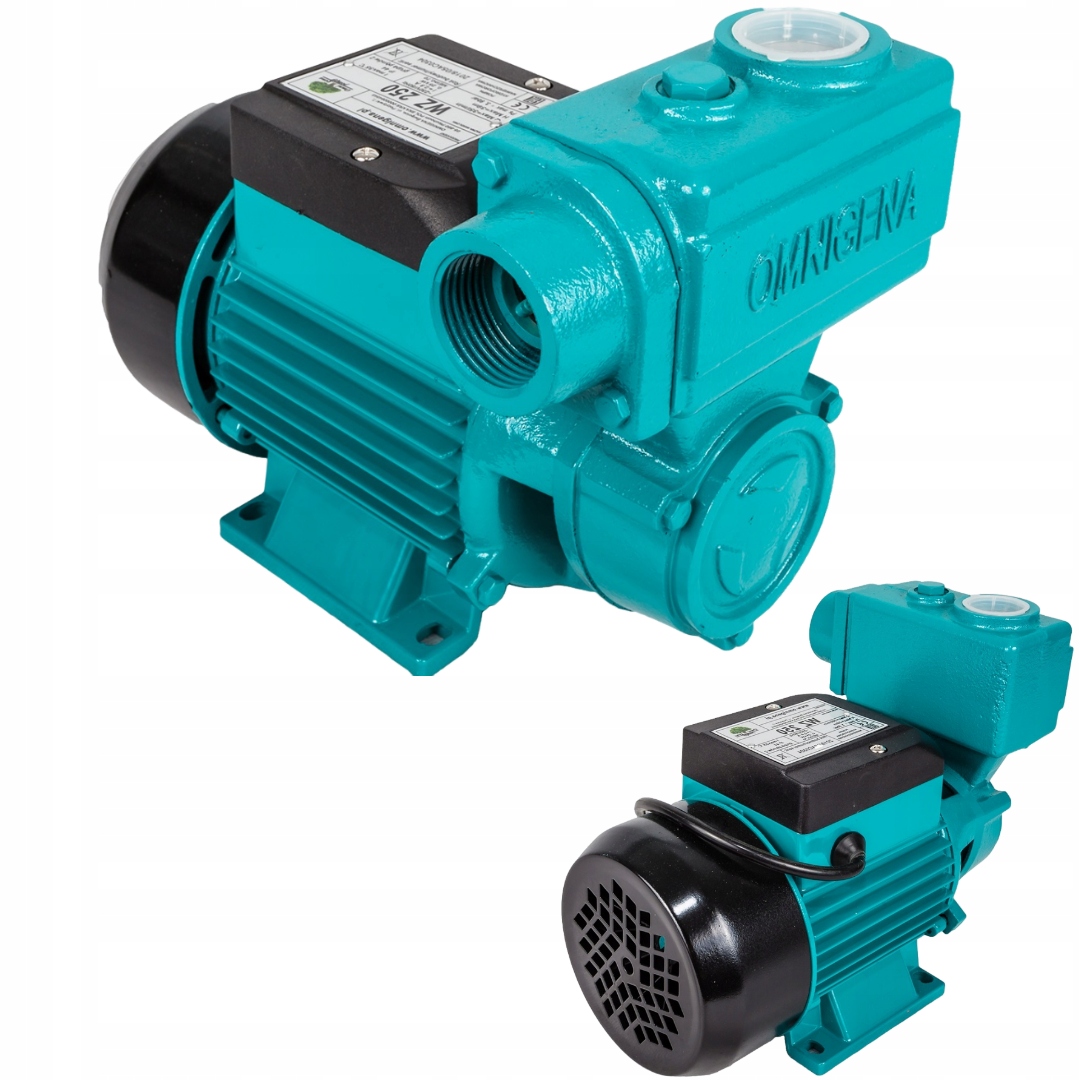 Pompa Do Wody Hydroforu Podlewania Hydroforowa Powierzchniowa Wz 250 230V