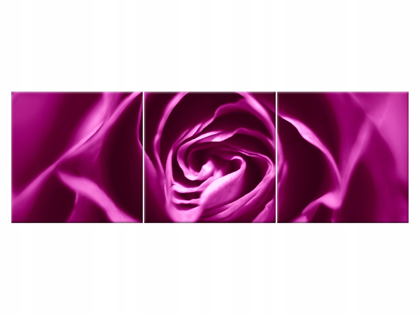

Obraz 150x50 Kwiaty Różowo-fioletowa róża Róża