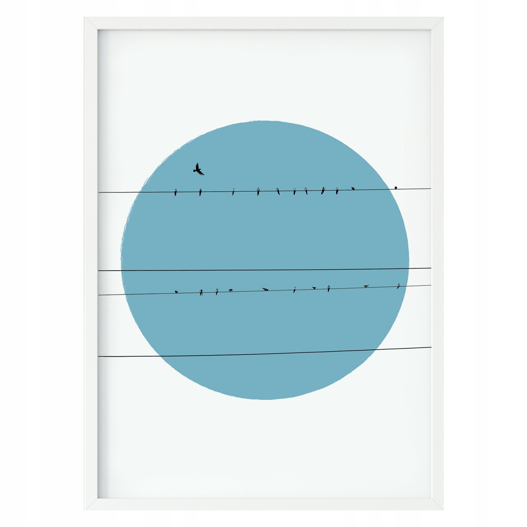 

Plakat w ramie duży 40x60cm ptaki