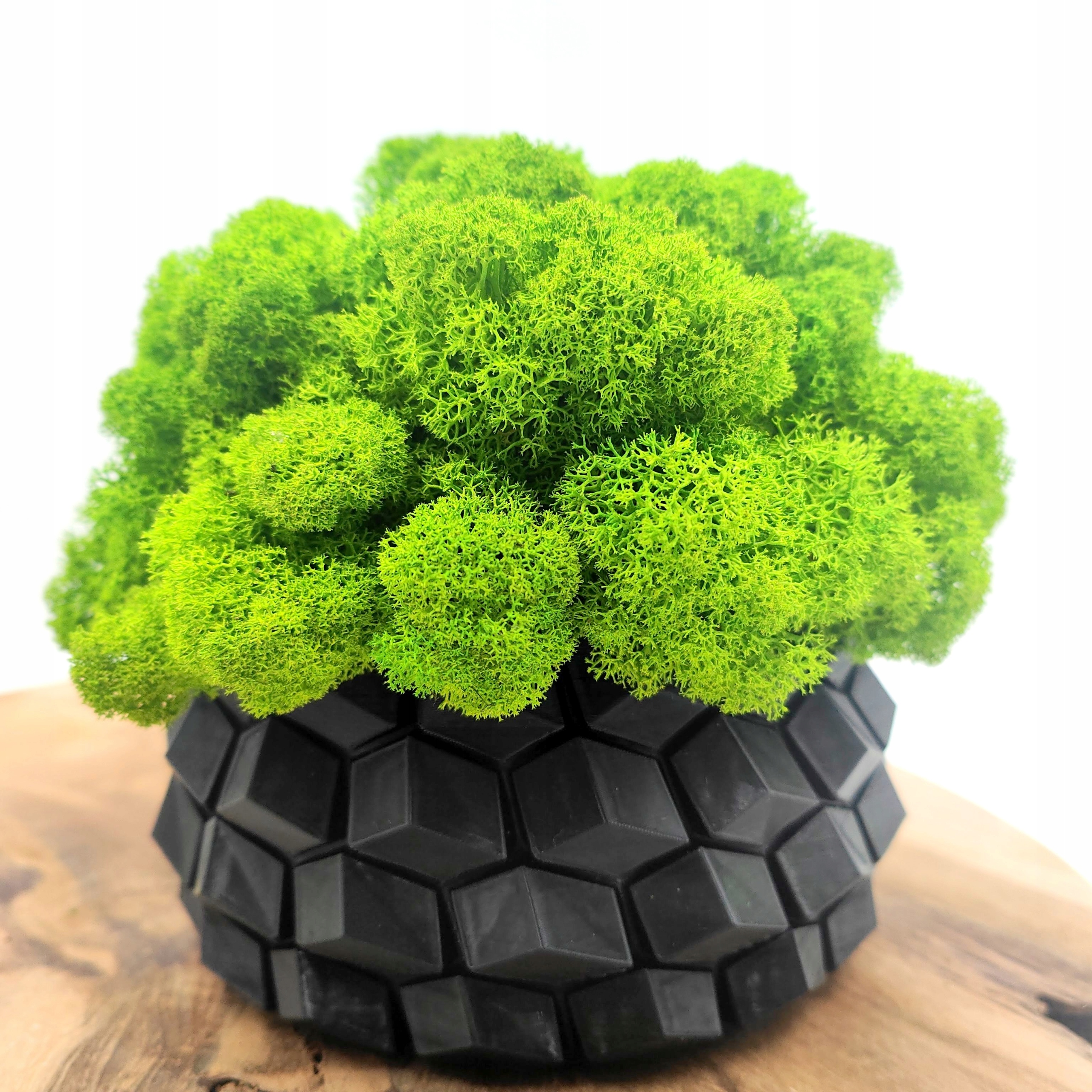 Doniczka z mchem chrobotkiem MECH CHROBOTEK w doniczce czarna druk 3d Marka inna