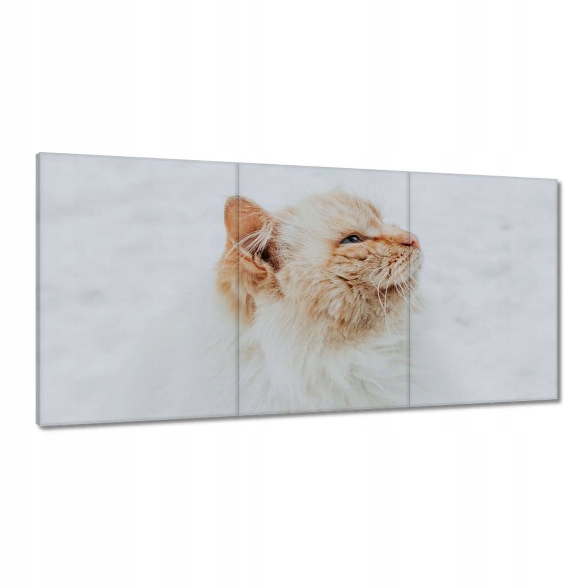 Obrazy 180x90 Mačka Mačky