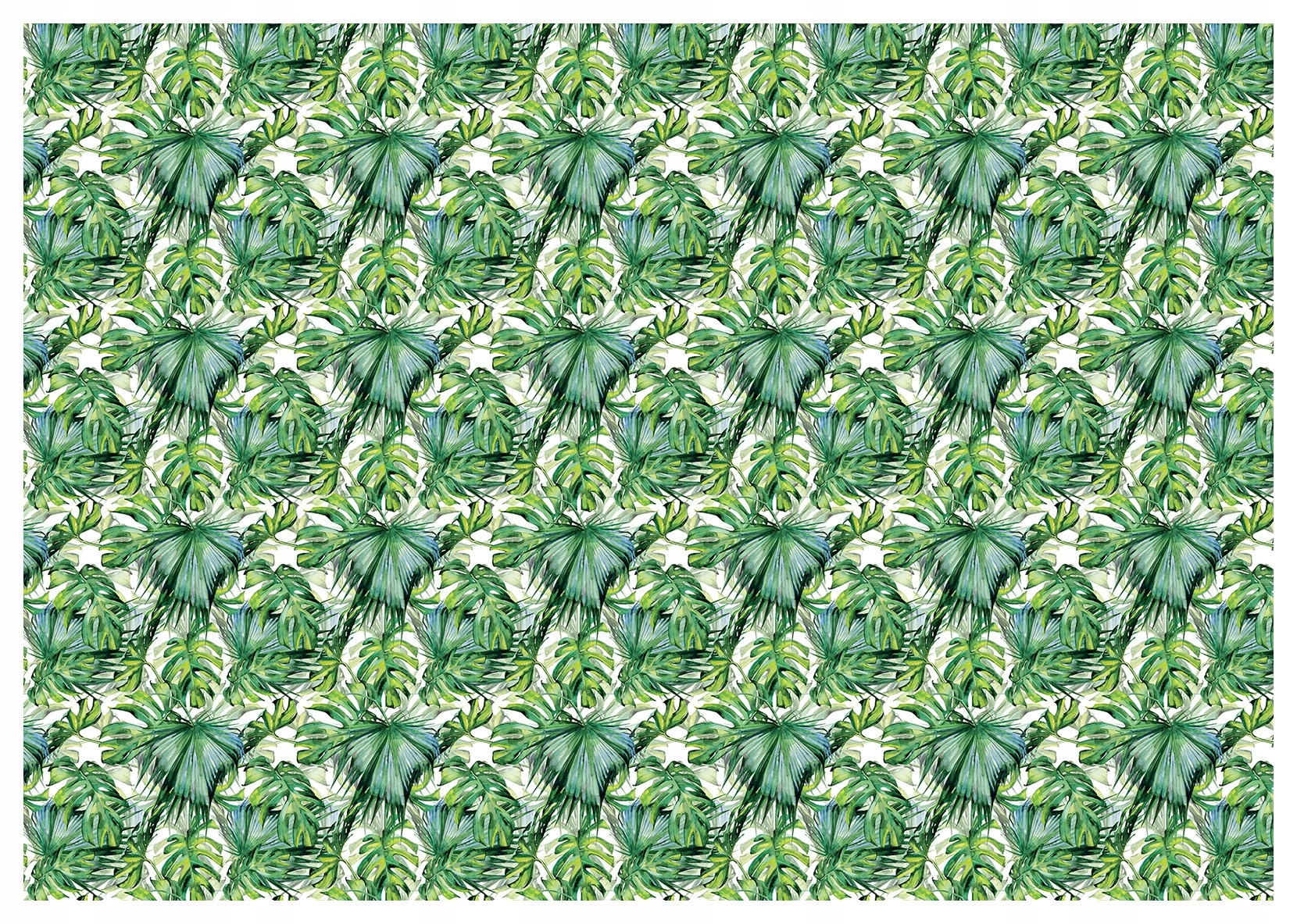 Fototapeta Listy palmy a monstery tropická zeleň 368x254 lepidlo