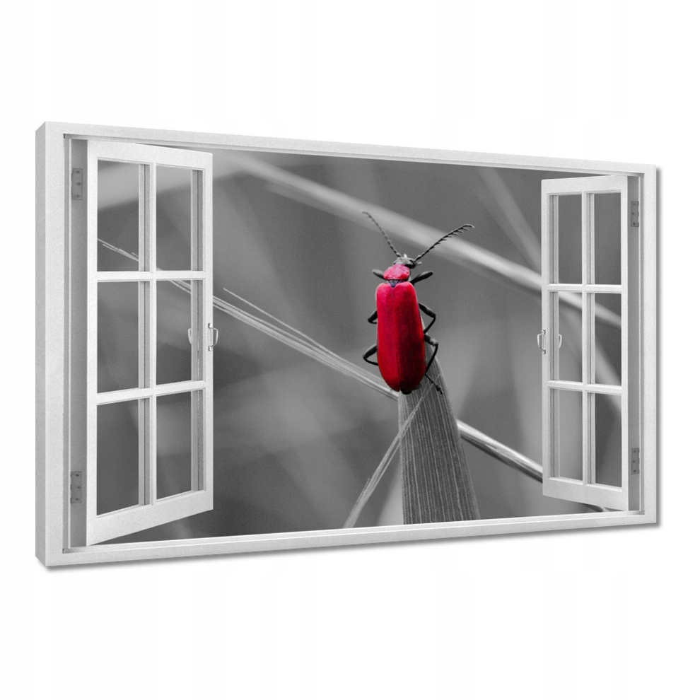 

Obrazy 120x80 W Szczebrzeszynie