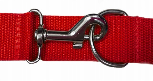 

Smycz Treningowa ,przepinana 3m-1,5m/2,5cm