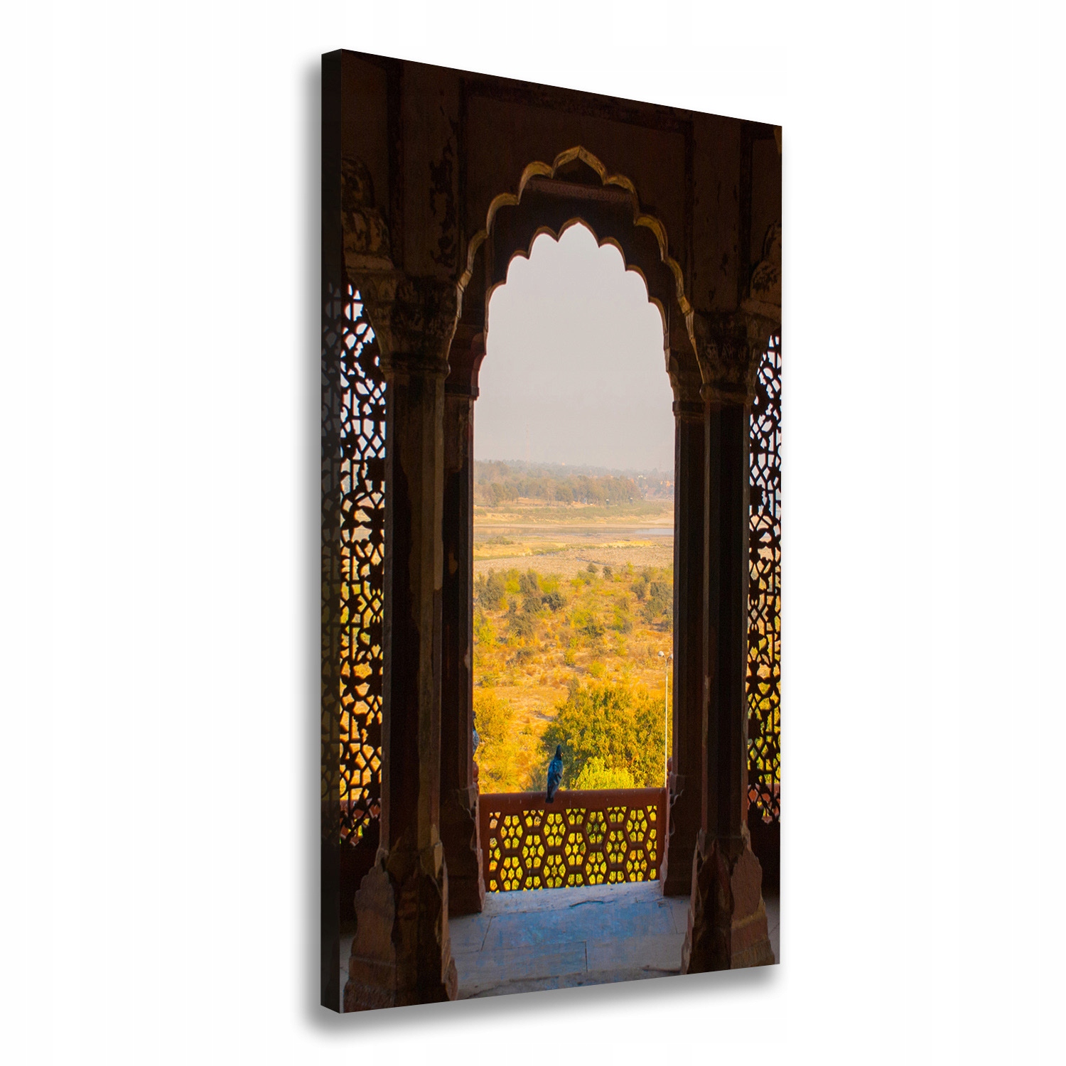 

Foto obraz na płótnie Fort Agra Indie 50x100 cm