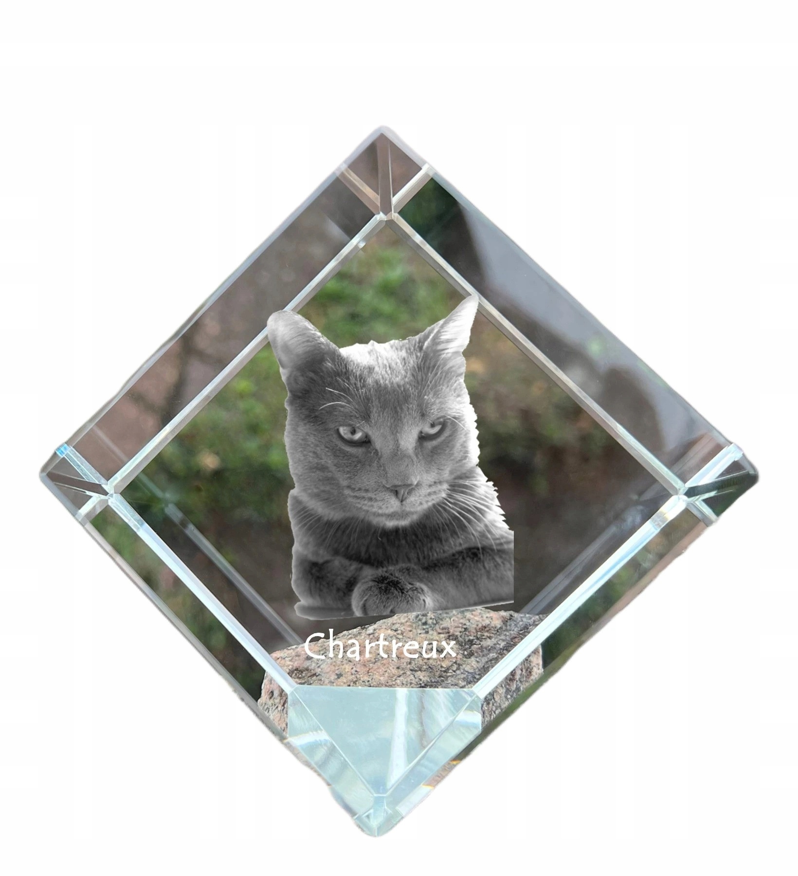 Mačka Chartreux krištáľová kocka s fotografiou mačky, ozdoba do kancelárie